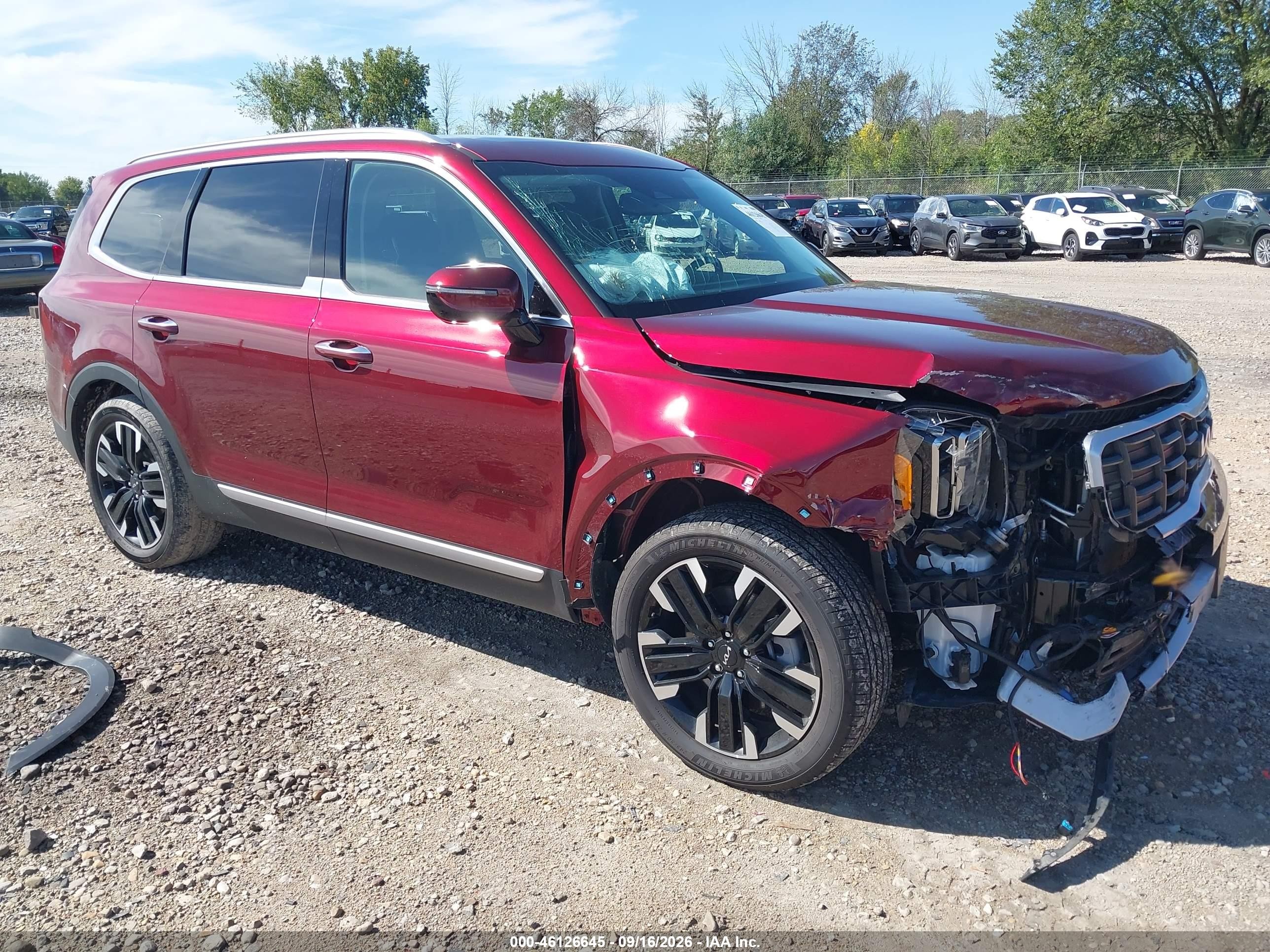 2024 Kia Telluride VIN 5XYP5DGC2RG554901 — IAAI salvage auction photo