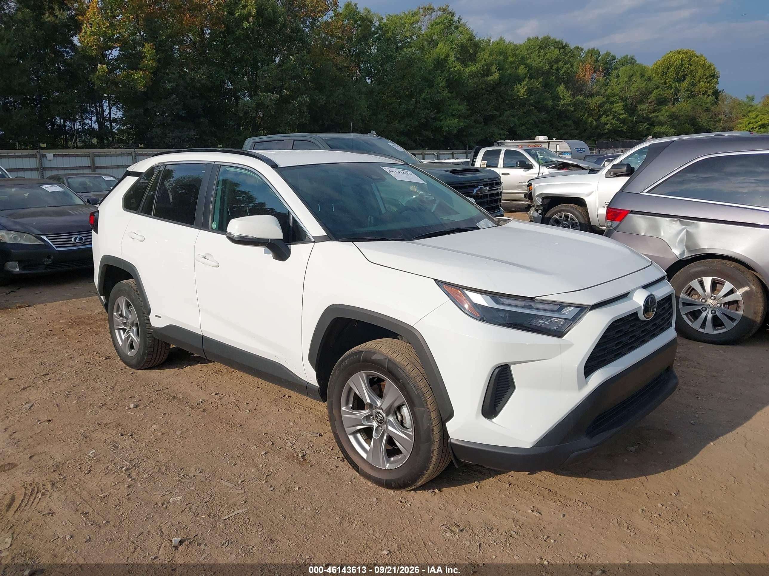 2025 Toyota RAV4 Hybrid VIN 4T3RWRFV3SU180408 — IAAI salvage auction photo