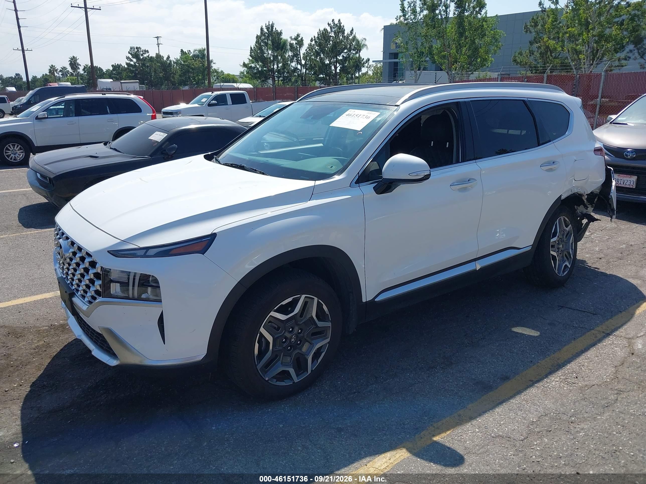 2022 Hyundai Santa fe VIN KM8S3DA10NU037432 IAAI salvage auction — Side, Salvage (California), sold $12,800 on 2026-09-29 (photo 2)