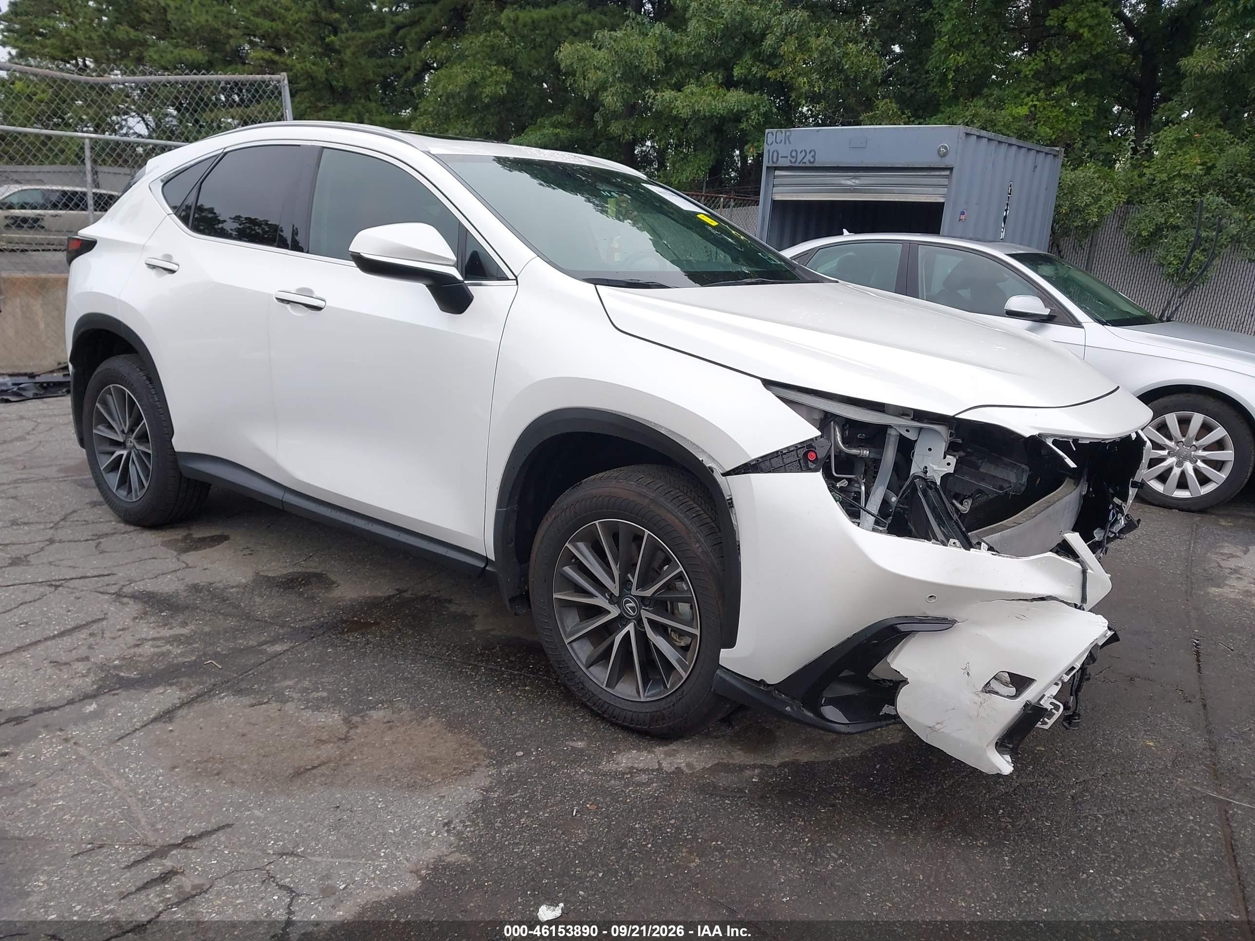 2025 Lexus NX 350 VIN 2T2AGCEZXSC080176 — IAAI salvage auction photo