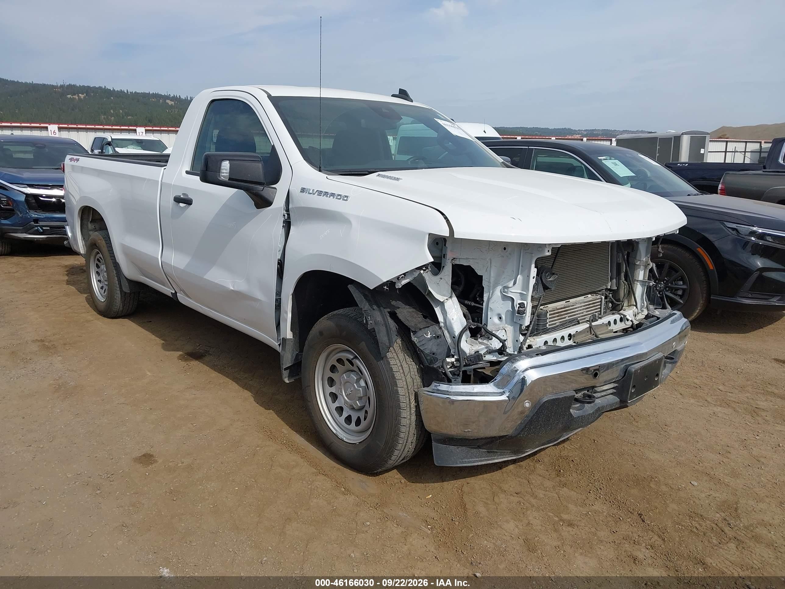 2025 Chevrolet Silverado 1500 VIN 3GCNKAEKXSG245046 — IAAI salvage auction photo
