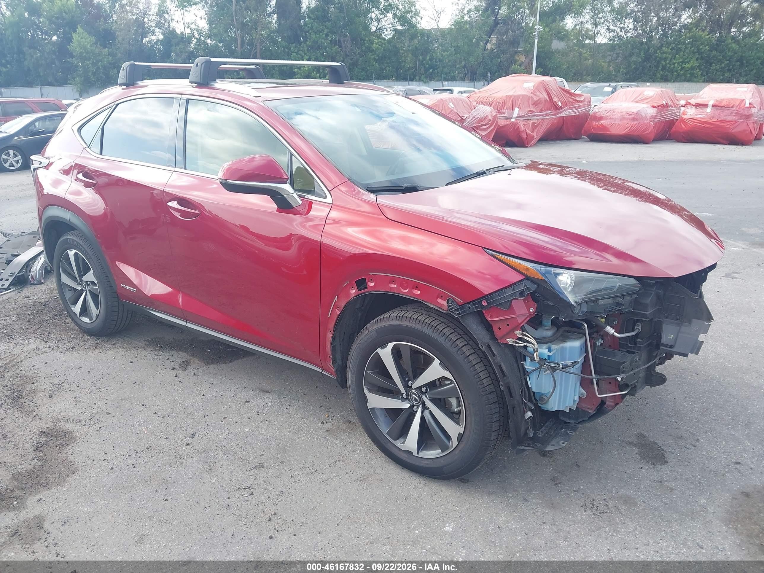 2021 Lexus NX 300h VIN JTJGJRDZ0M5012468 — IAAI salvage auction photo