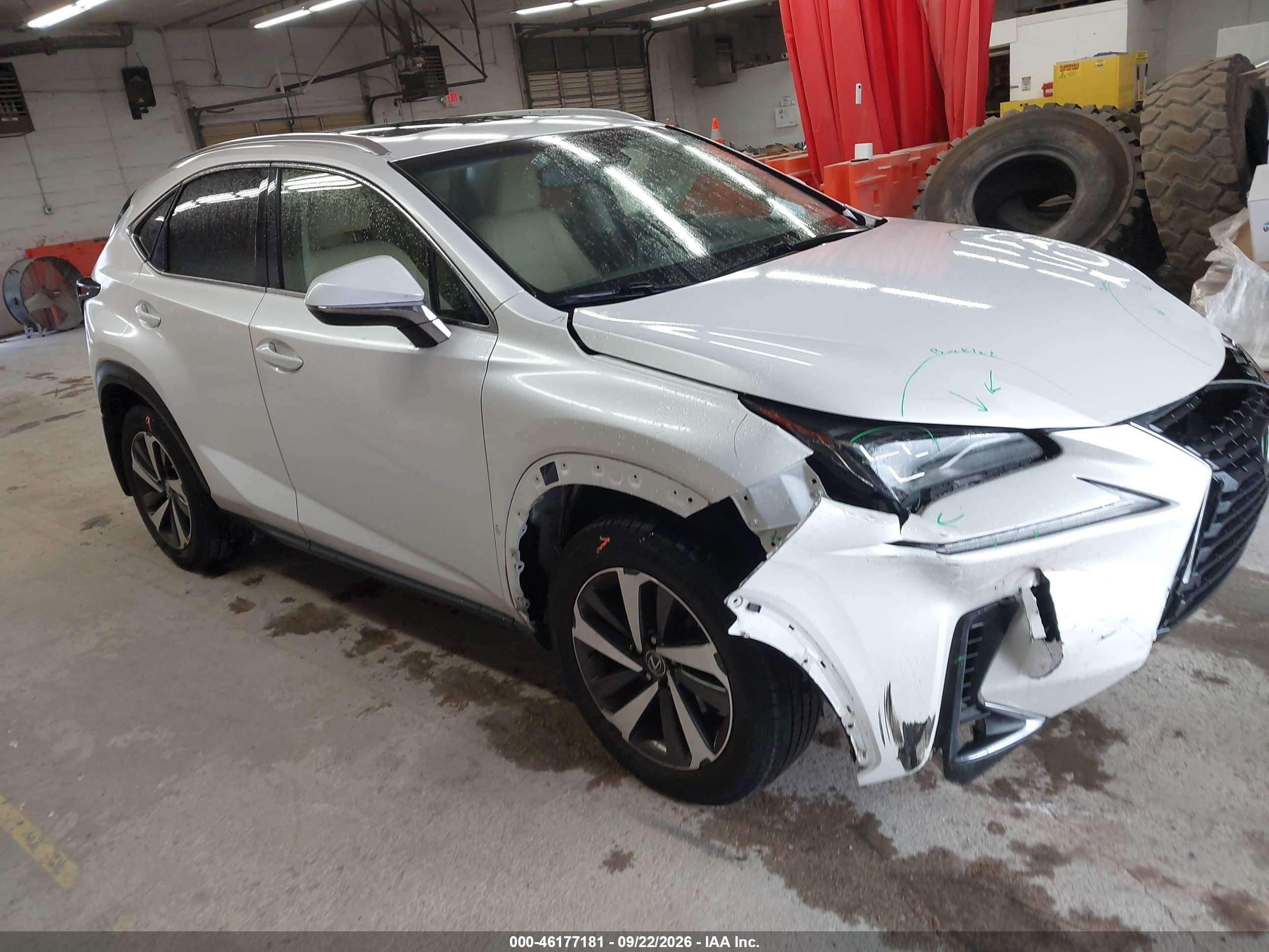 2019 Lexus NX 300 VIN JTJBARBZ9K2204077 — IAAI salvage auction photo