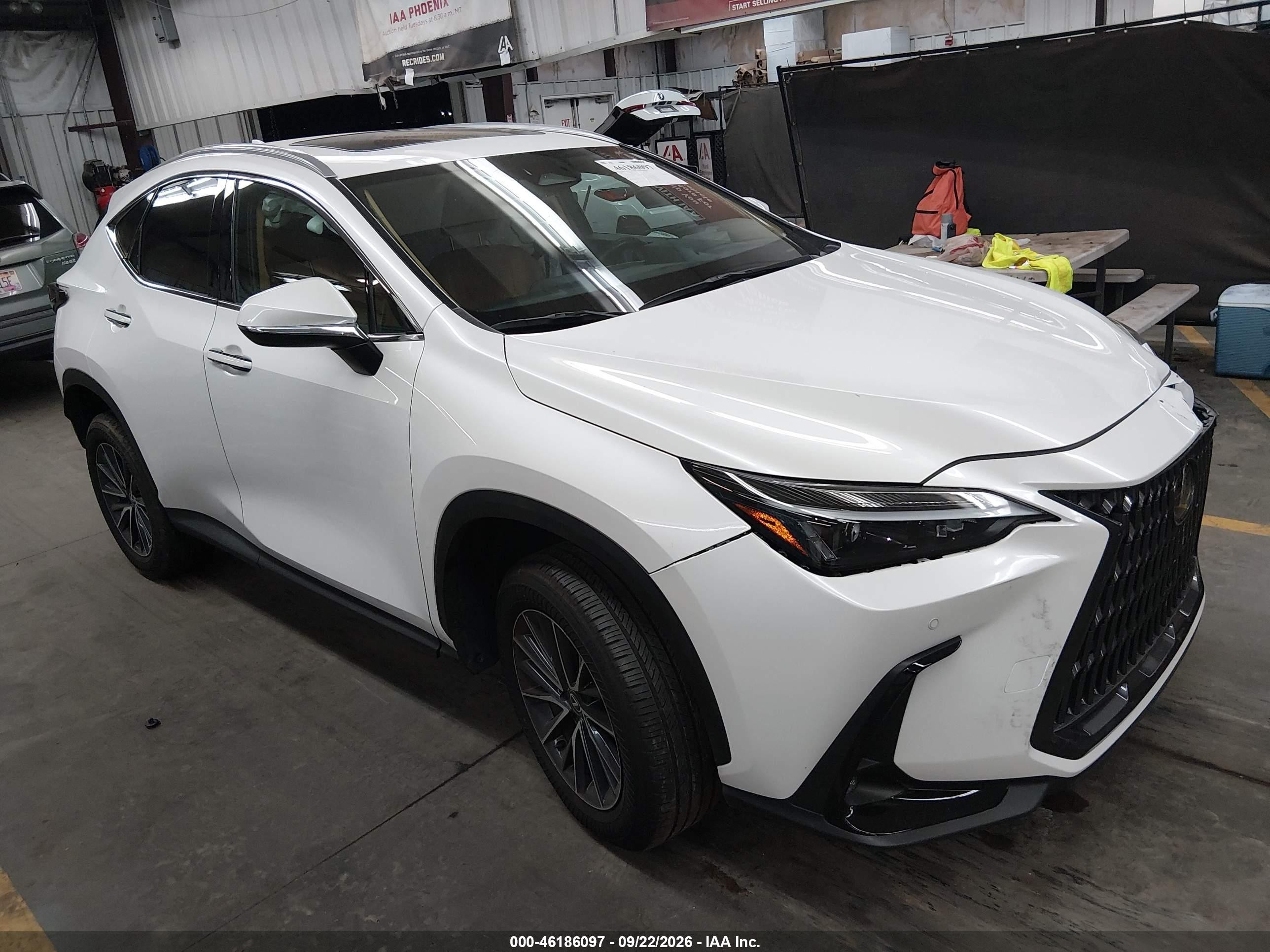 2025 Lexus NX 250 VIN 2T2ADCAZ2SC028331 — IAAI salvage auction photo