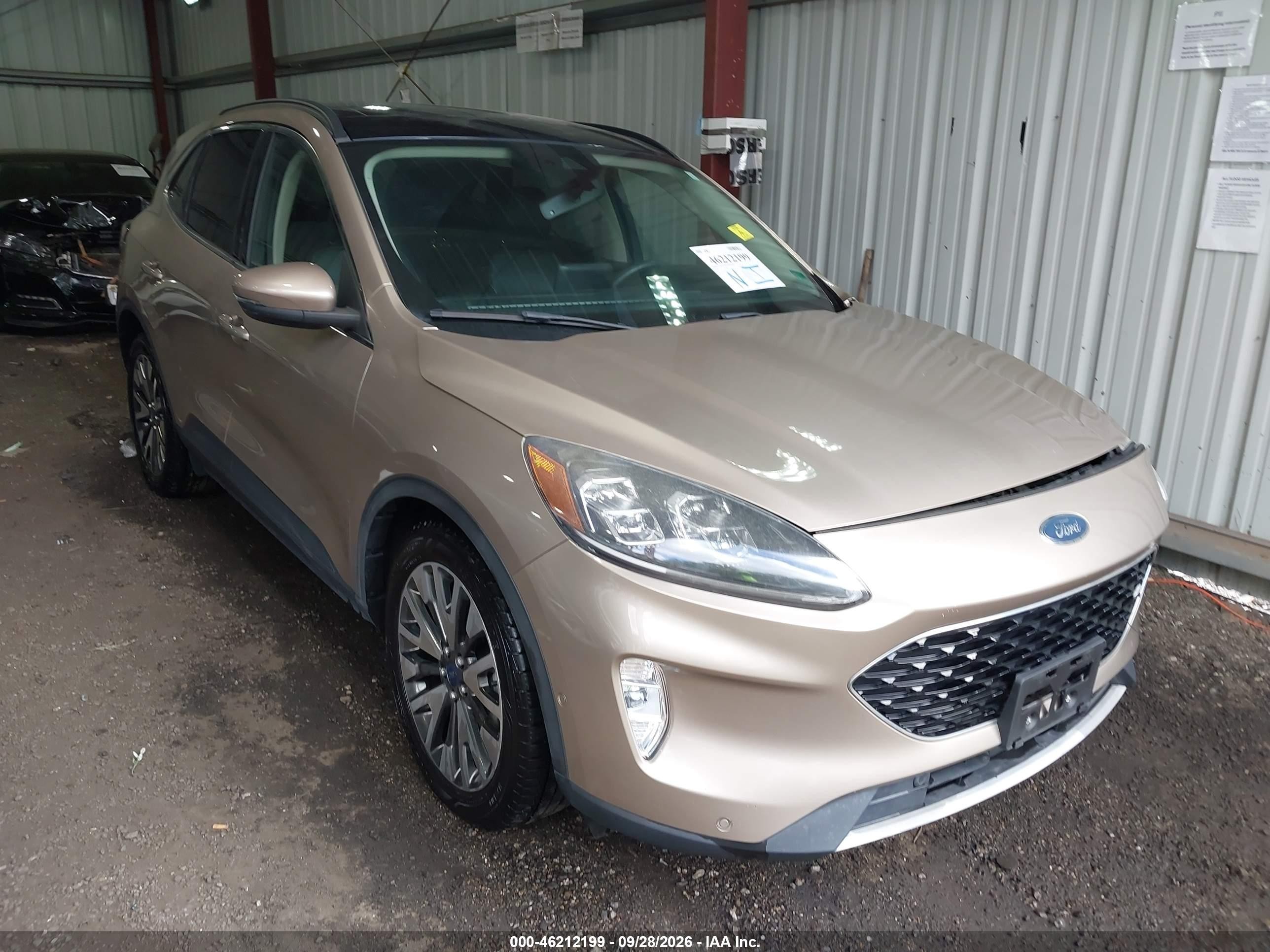 2020 Ford Escape VIN 1FMCU0DZXLUA70656 — IAAI salvage auction photo