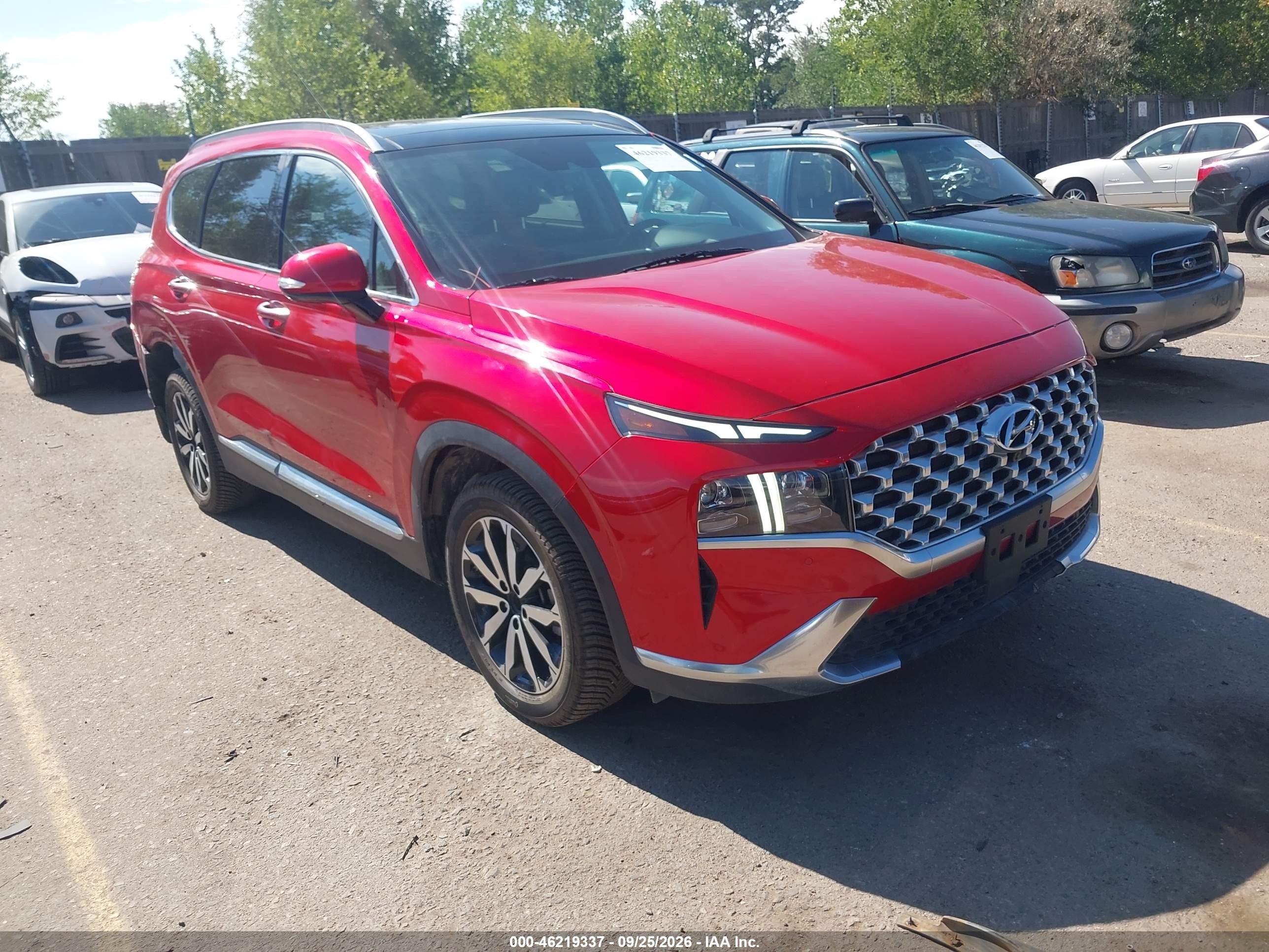 2023 Hyundai Santa Fe VIN 5NMS44AL6PH545241 — IAAI salvage auction photo