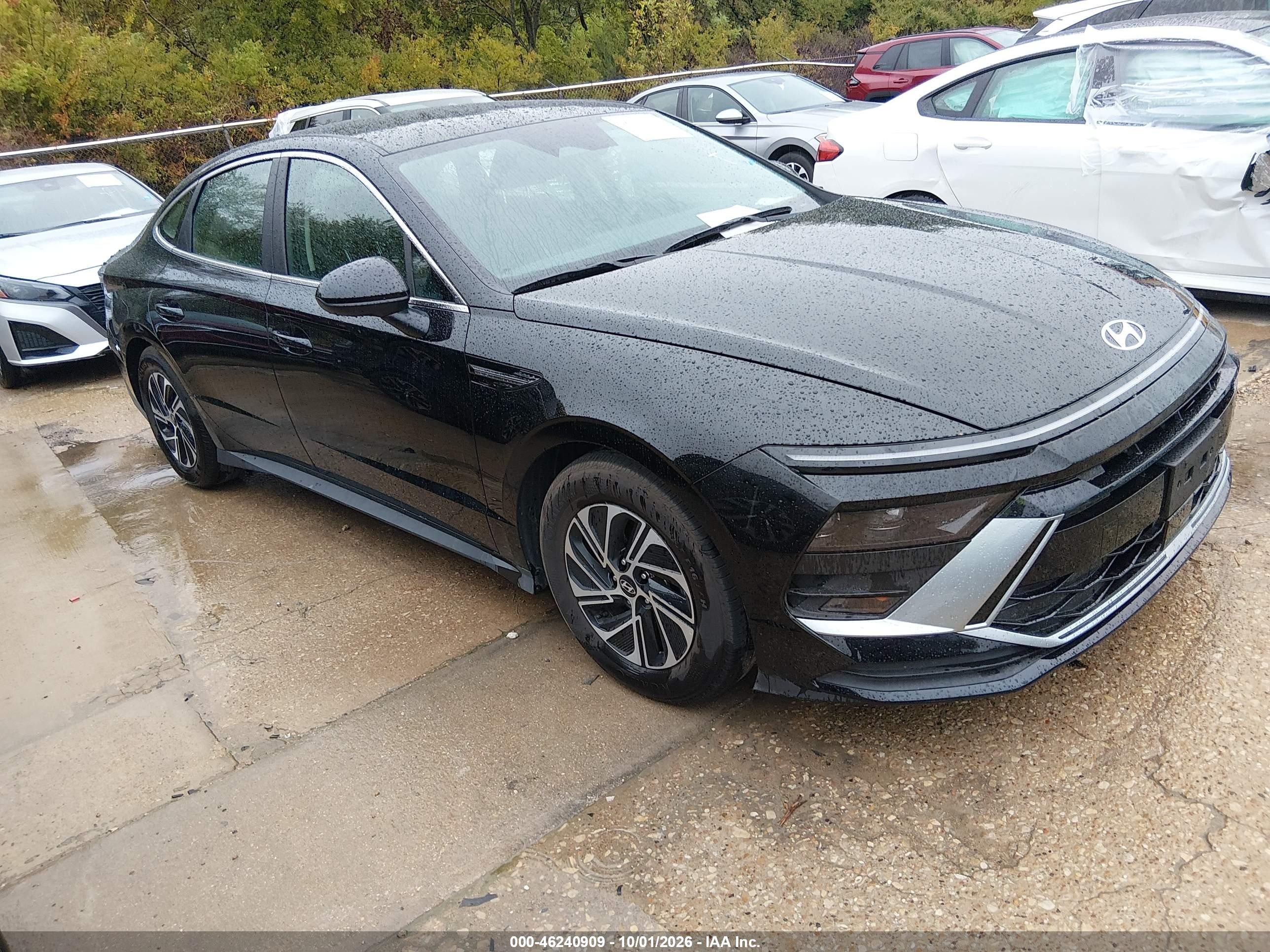 2026 Hyundai Sonata Hybrid VIN KMHL24JJXTA165442 — IAAI salvage auction photo