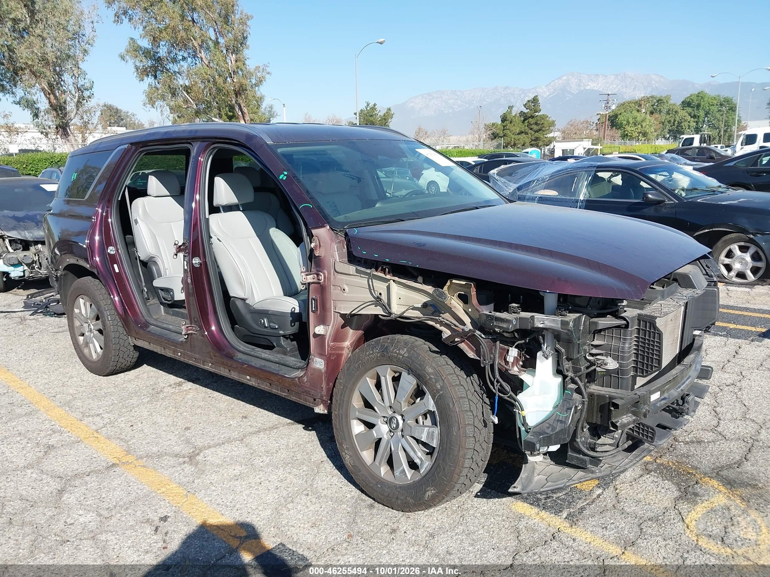 2024 Hyundai Palisade VIN KM8R24GE2RU783253 — IAAI salvage auction photo