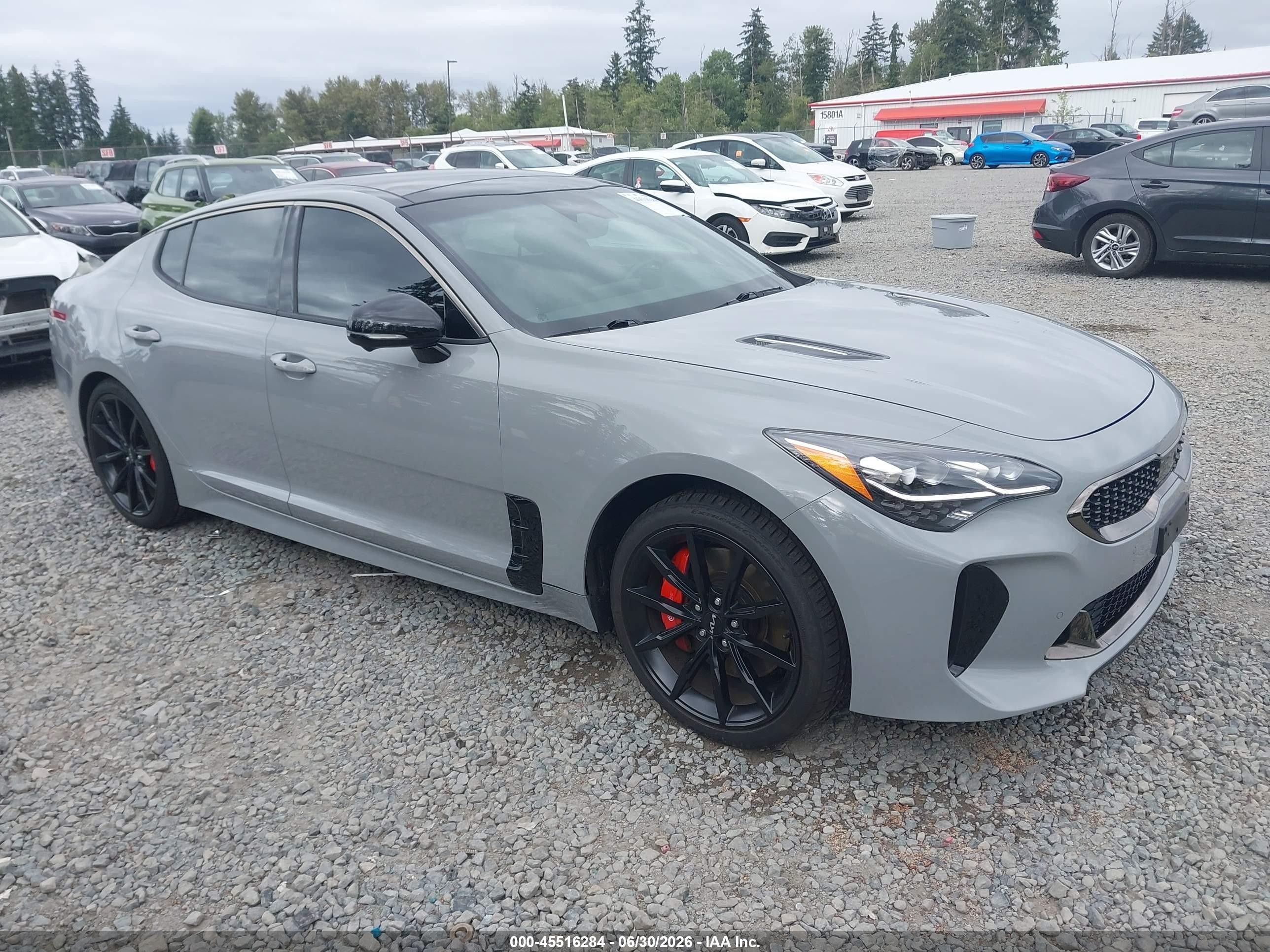 2023 Kia Stinger VIN KNAE55LC6P6123199 — IAAI salvage auction photo