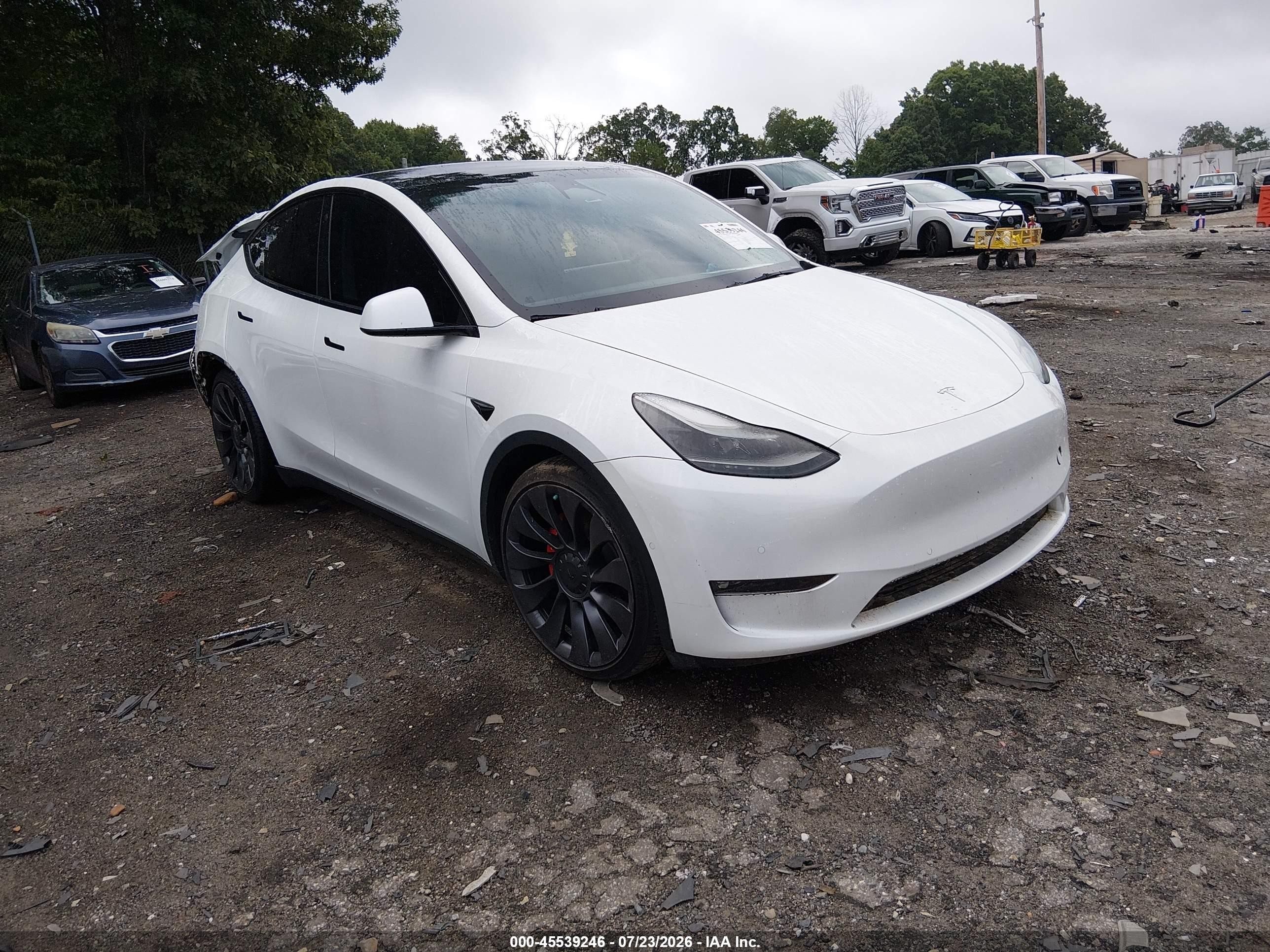 2022 Tesla Model Y VIN 7SAYGDEFXNF548960 — IAAI salvage auction photo