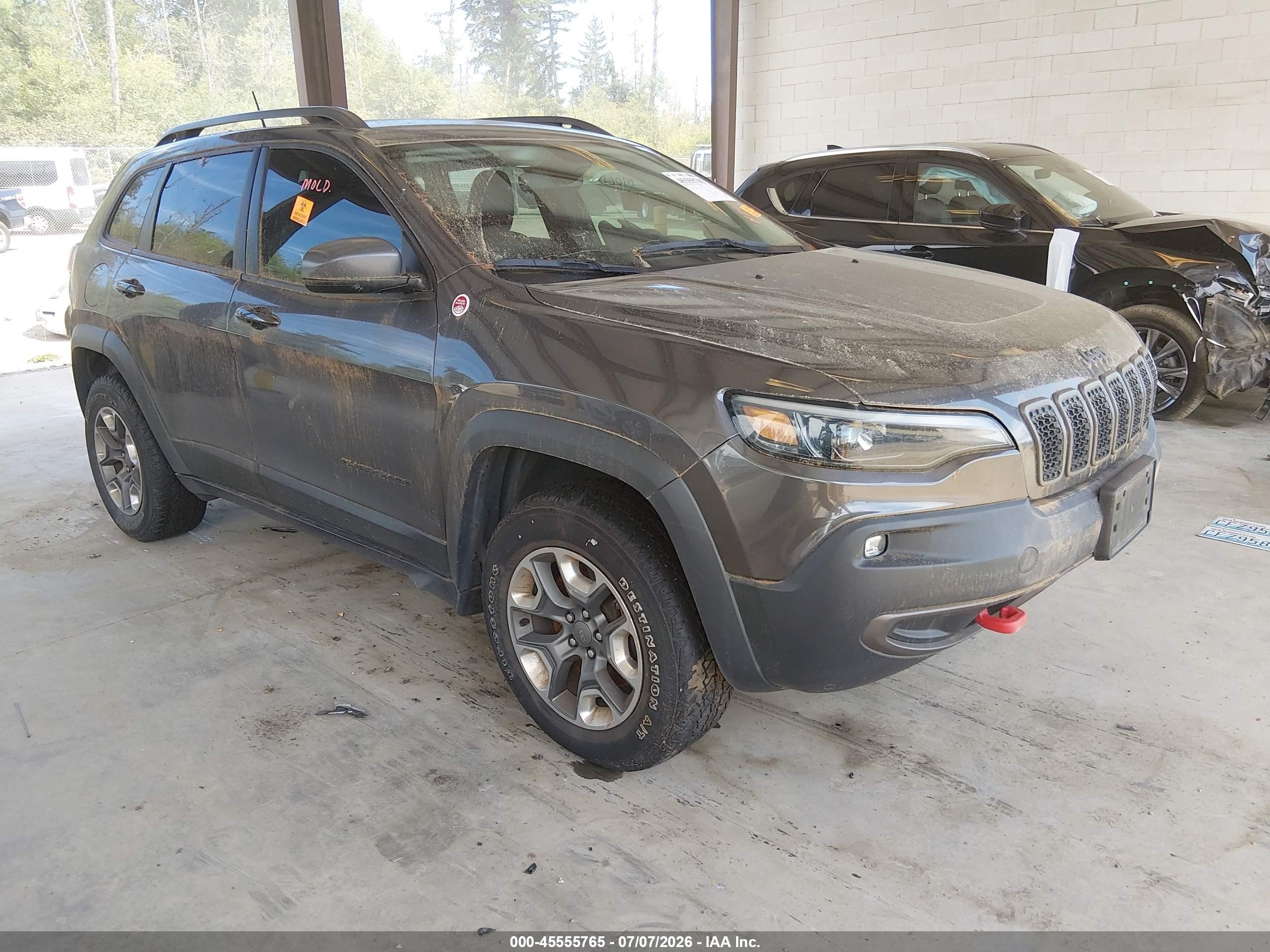 2019 Jeep Cherokee VIN 1C4PJMBN0KD169068 IAAI salvage auction — Biohazard/Chemical, Bill Of Sale (Washington), sold $3,300 on 2026-08-30 (photo 1)