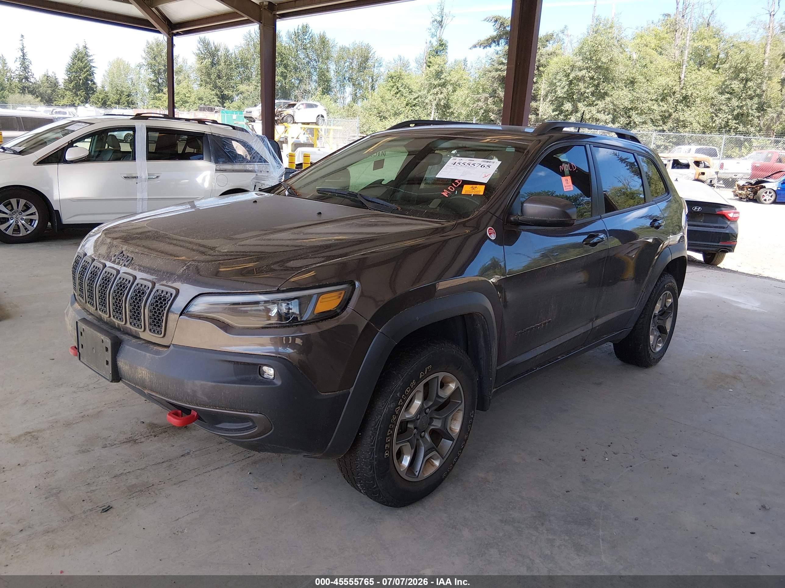 2019 Jeep Cherokee VIN 1C4PJMBN0KD169068 IAAI salvage auction — Biohazard/Chemical, Bill Of Sale (Washington), sold $3,300 on 2026-08-30 (photo 2)