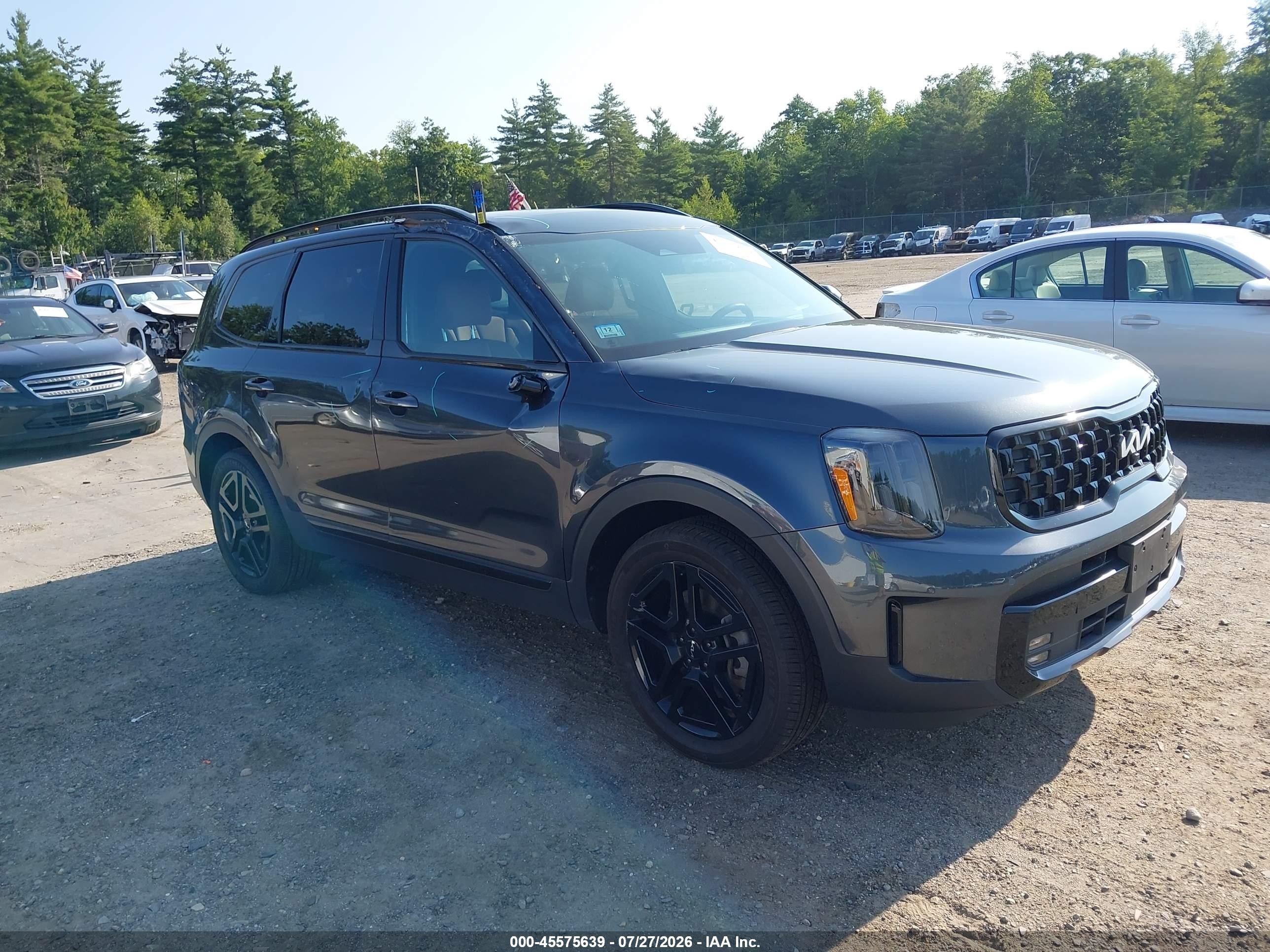 2024 Kia Telluride VIN 5XYP5DGC9RG548481 — IAAI salvage auction photo