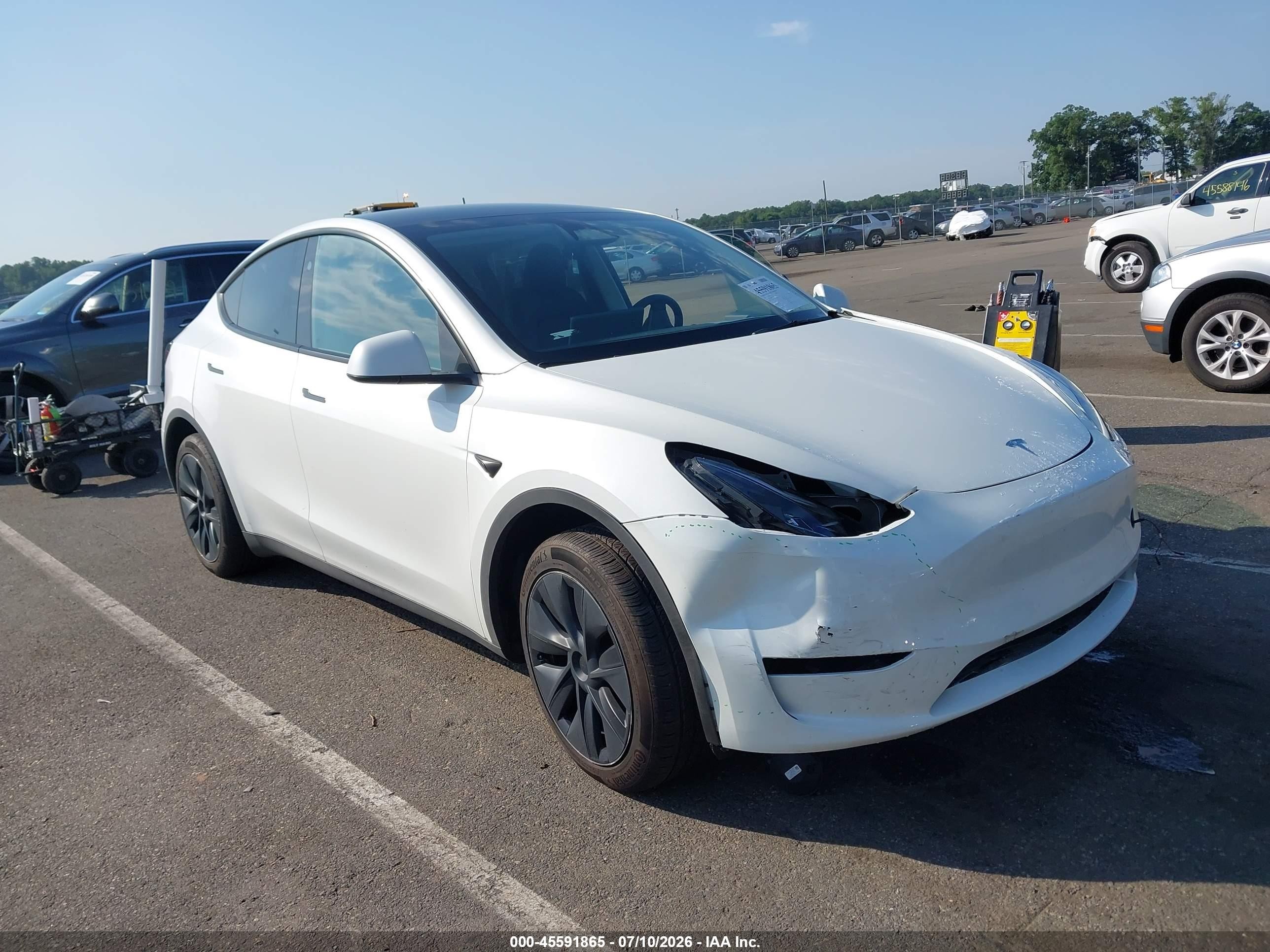 2025 Tesla Model Y VIN 7SAYGDED8SF226134 — IAAI salvage auction photo