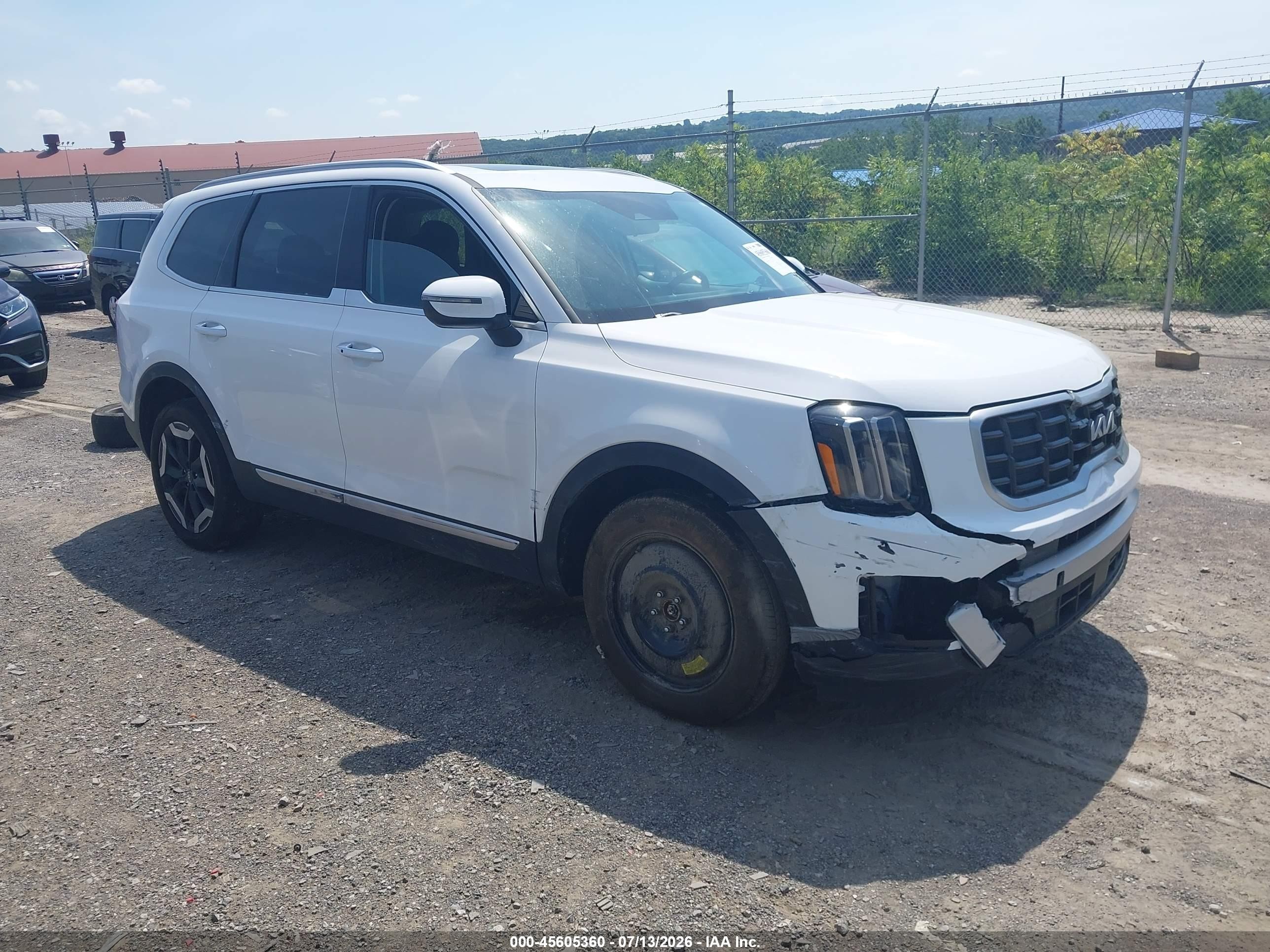 2024 Kia Telluride VIN 5XYP6DGC0RG561441 — IAAI salvage auction photo