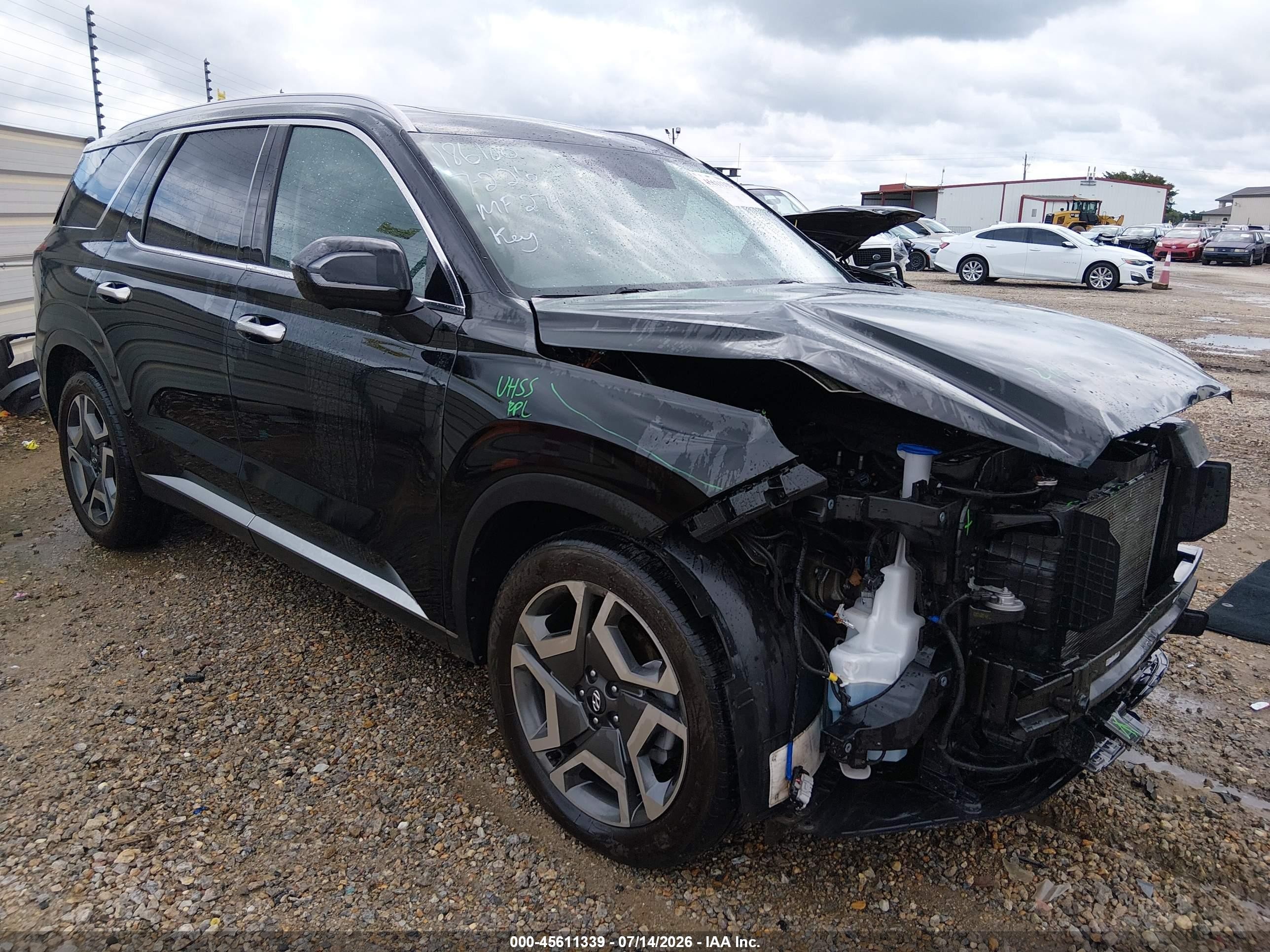 2025 Hyundai Palisade VIN KM8R44GE7SU828901 — IAAI salvage auction photo