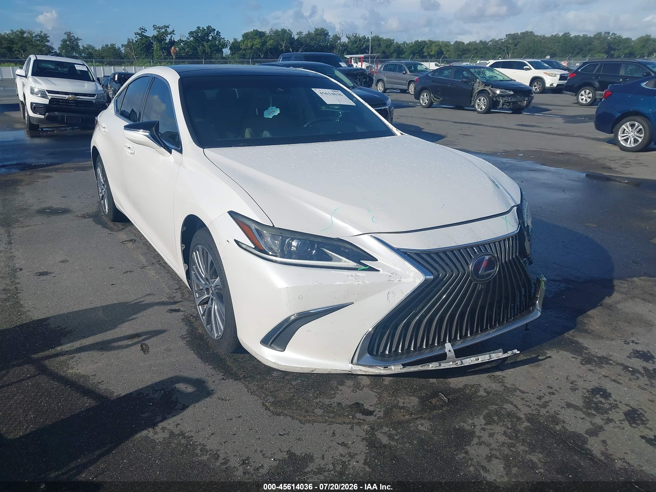 2019 Lexus ES 350 VIN 58ABZ1B16KU029528 — IAAI salvage auction photo