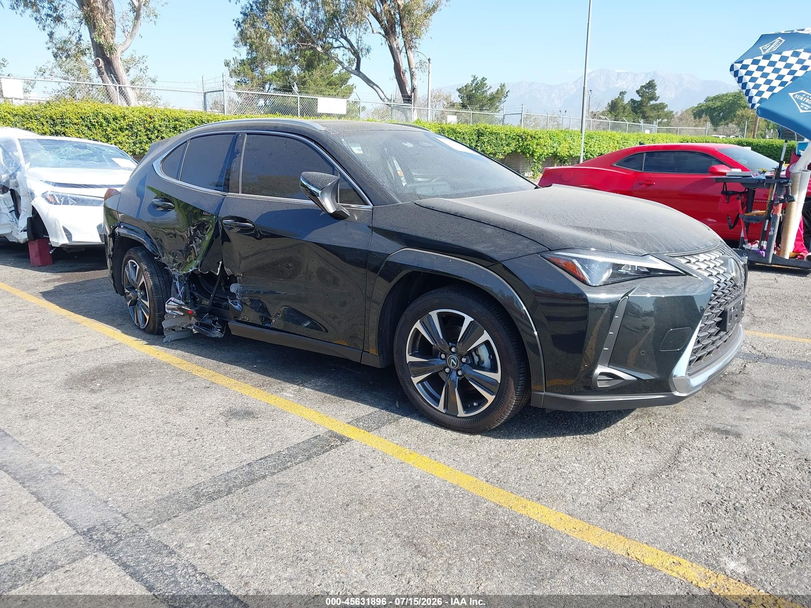 2025 Lexus UX 300h VIN JTHUCJDH4S2013306 — IAAI salvage auction photo