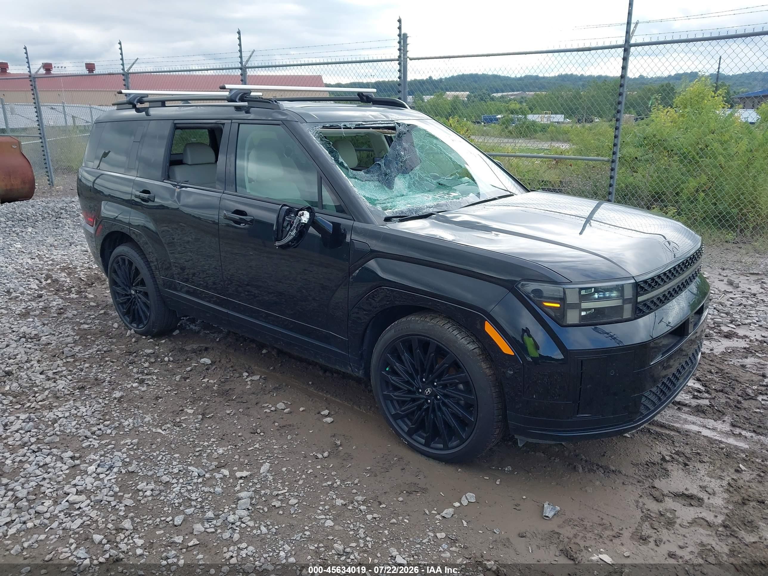 2025 Hyundai Santa Fe VIN 5NMP5DGL0SH111142 — IAAI salvage auction photo