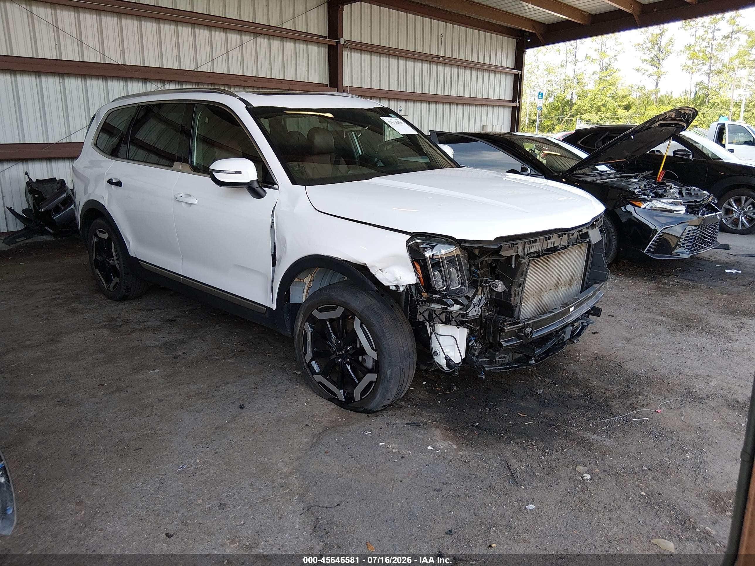 2024 Kia Telluride VIN 5XYP34GC2RG437275 — IAAI salvage auction photo