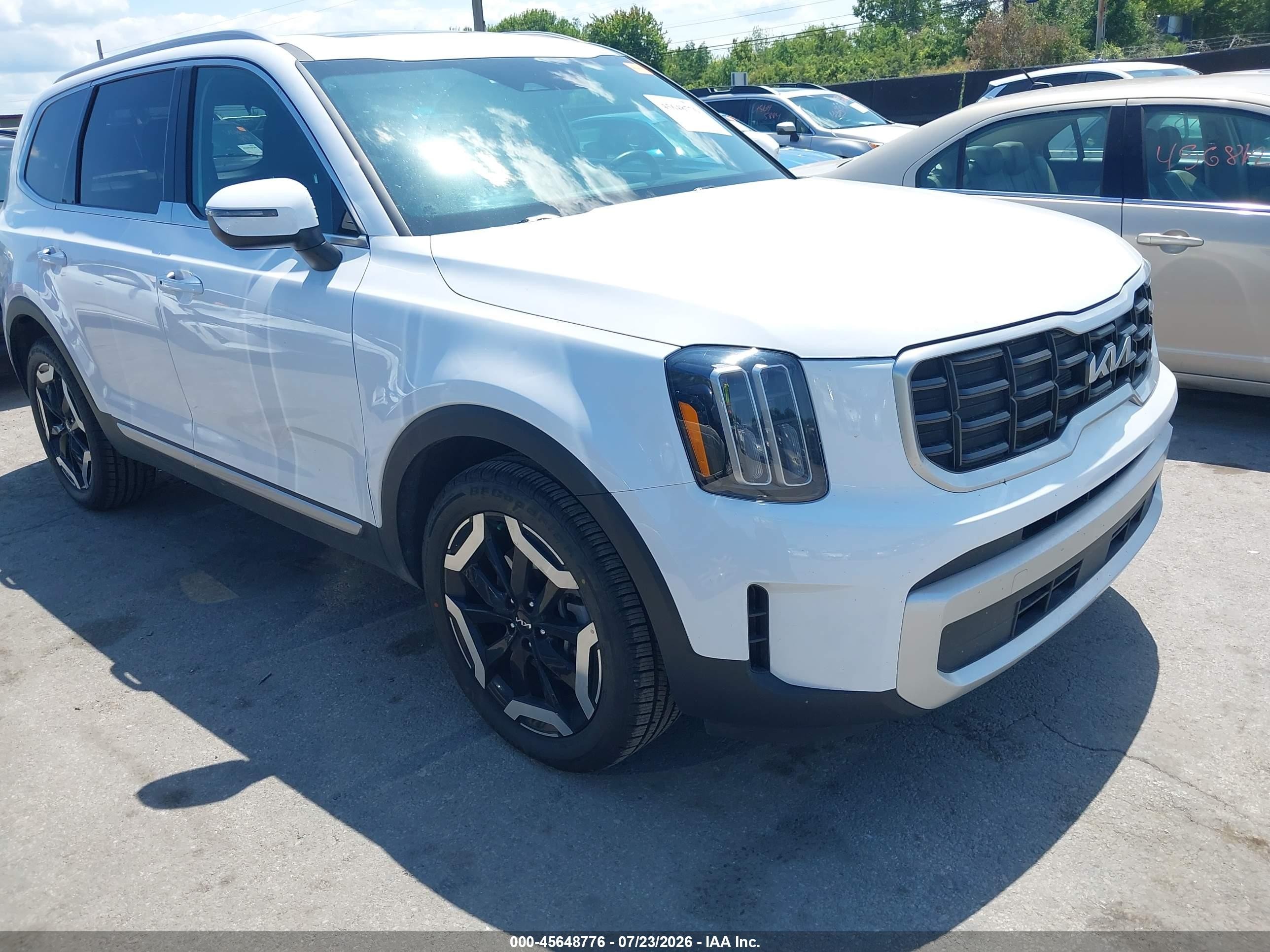 2025 Kia Telluride VIN 5XYP6DGC2SG610855 — IAAI salvage auction photo