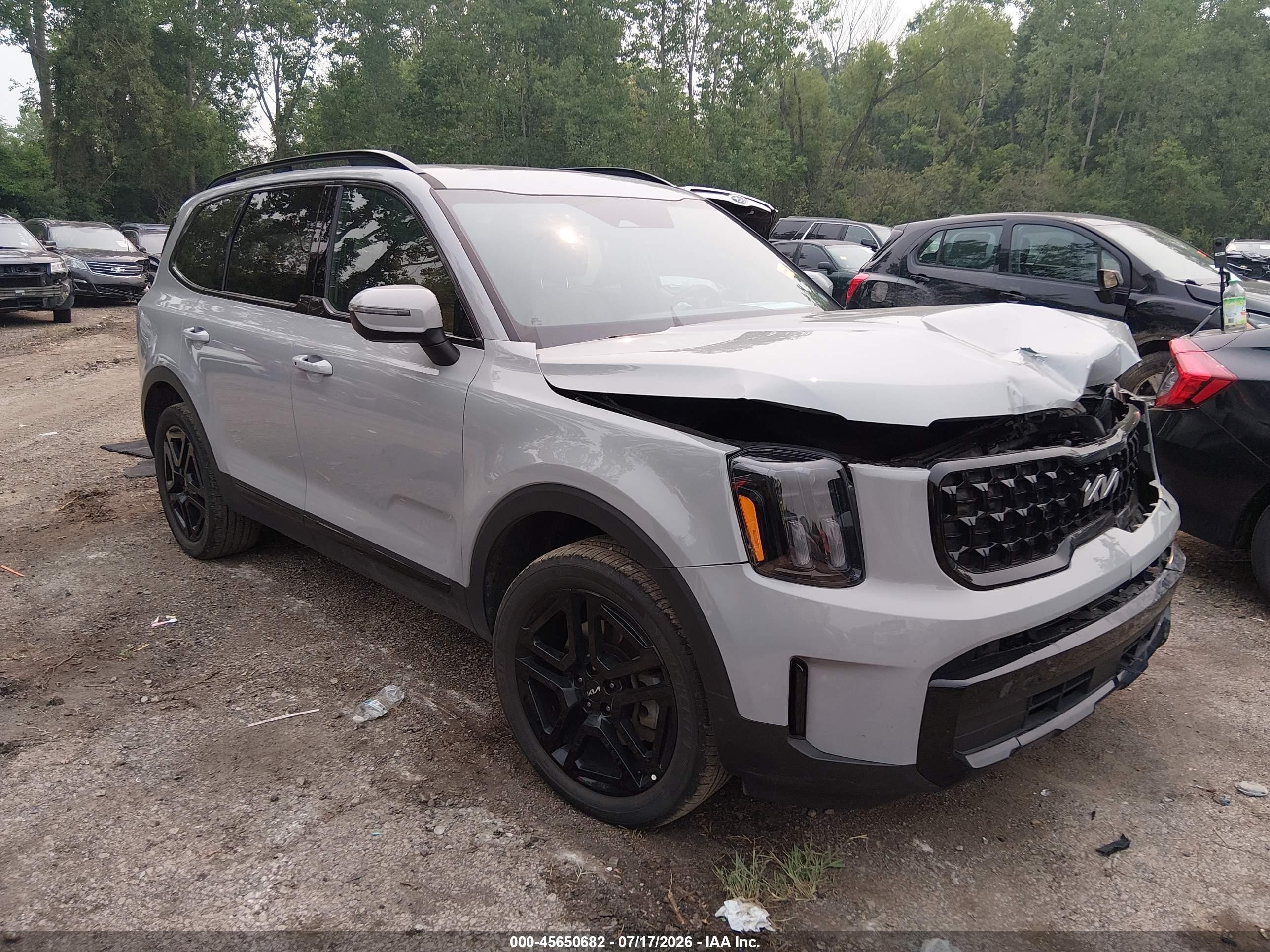 2024 Kia Telluride VIN 5XYP3DGC2RG501234 — IAAI salvage auction photo
