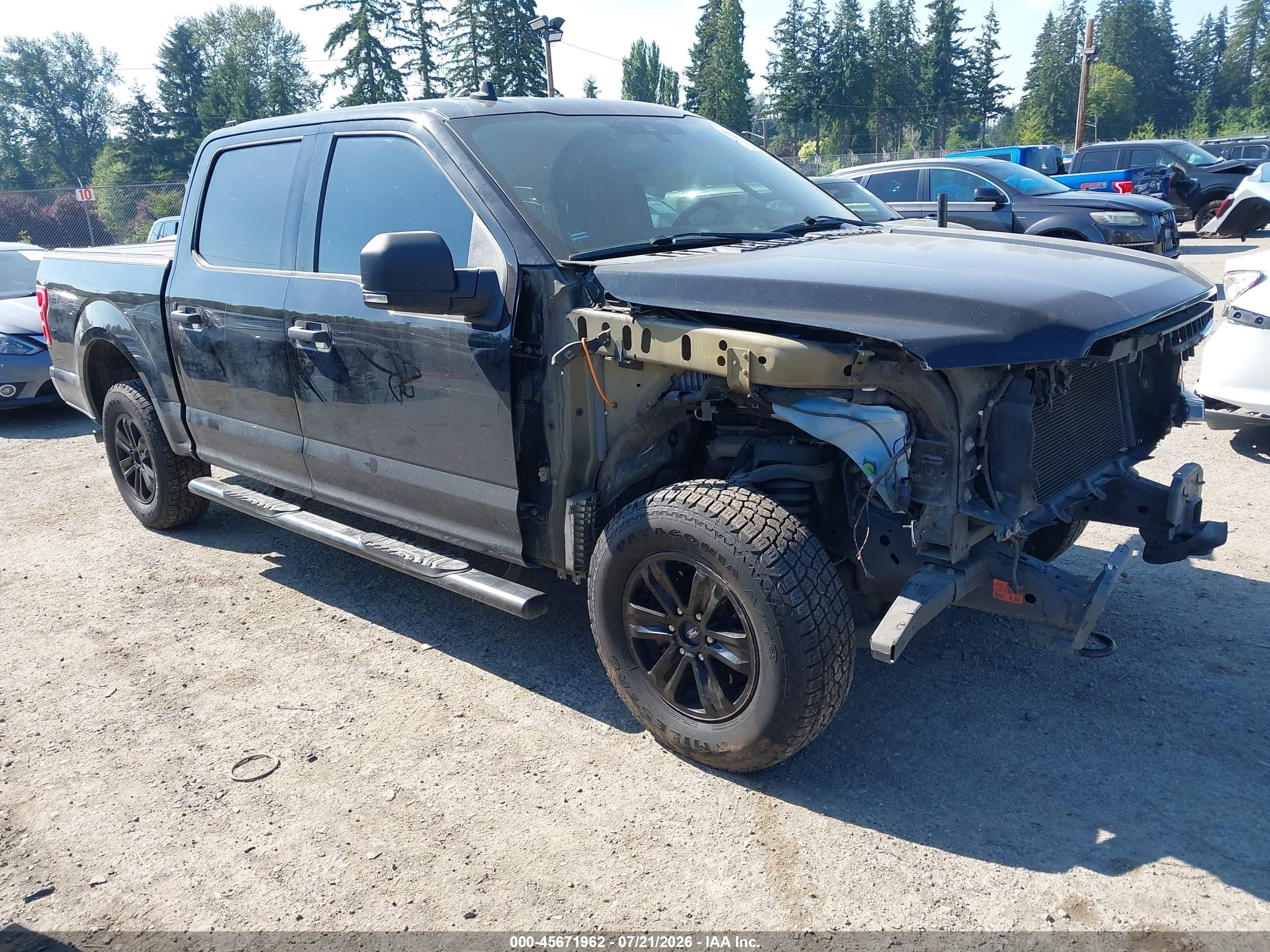 2019 Ford F-150 VIN 1FTEW1E59KKD06667 — IAAI salvage auction photo