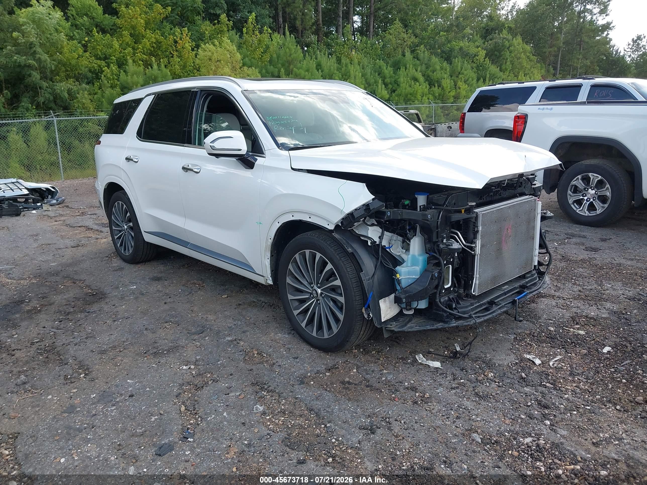 2025 Hyundai Palisade VIN KM8R74GE4SU883863 — IAAI salvage auction photo