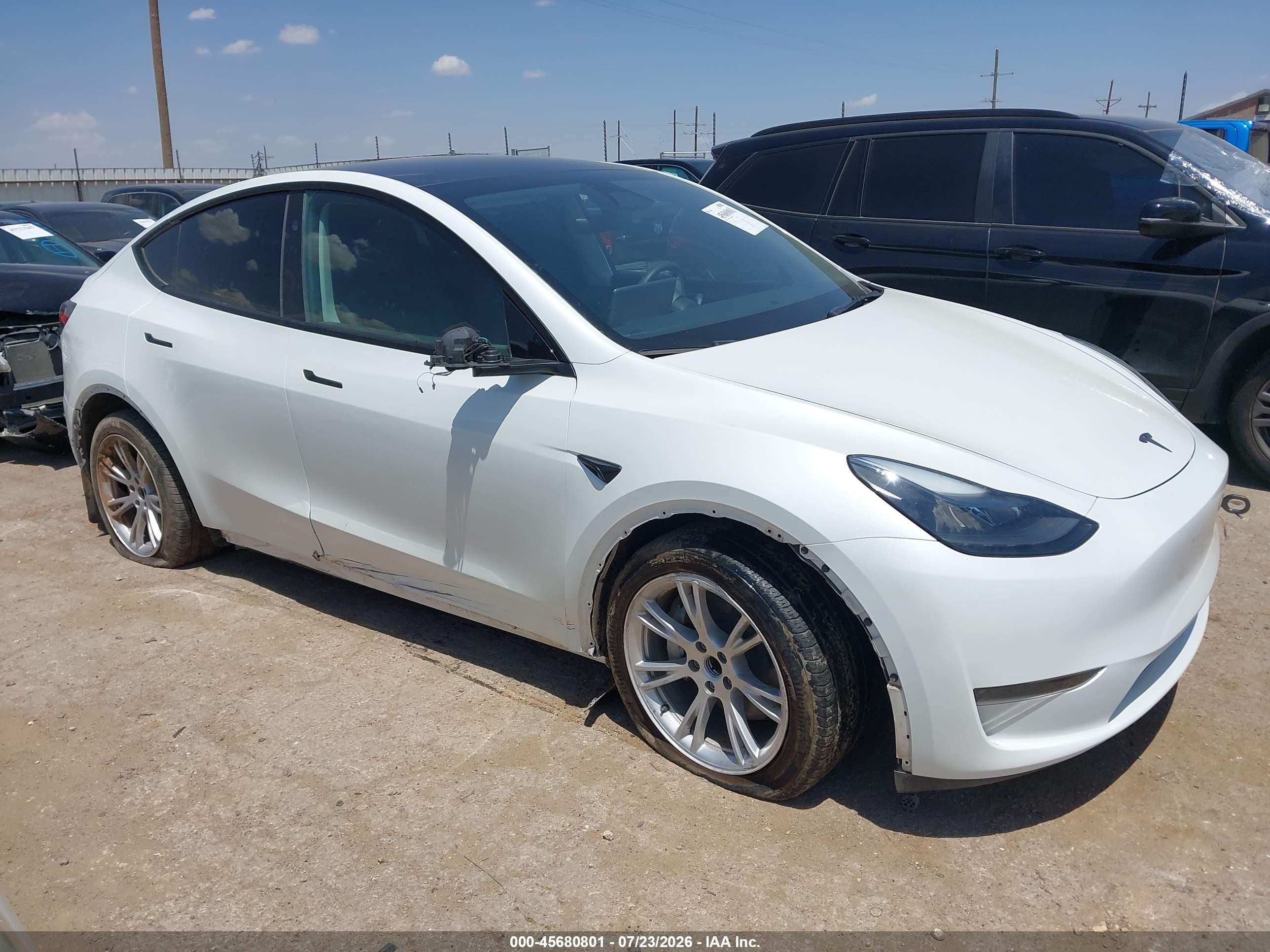 2024 Tesla Model Y VIN 7SAYGDED2RF087175 — IAAI salvage auction photo