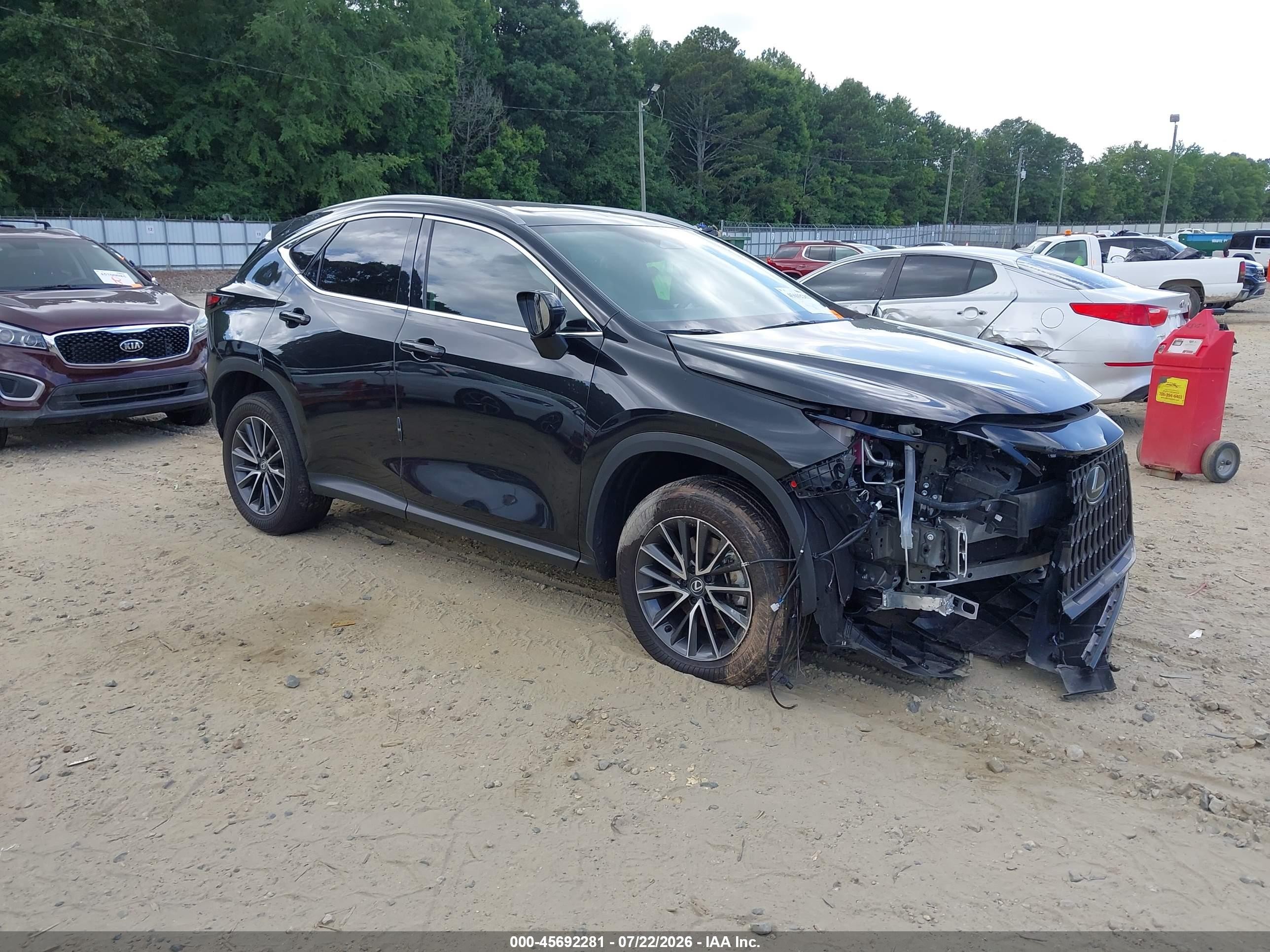 2025 Lexus NX 350h VIN 2T2GKCEZ5SC036773 — IAAI salvage auction photo