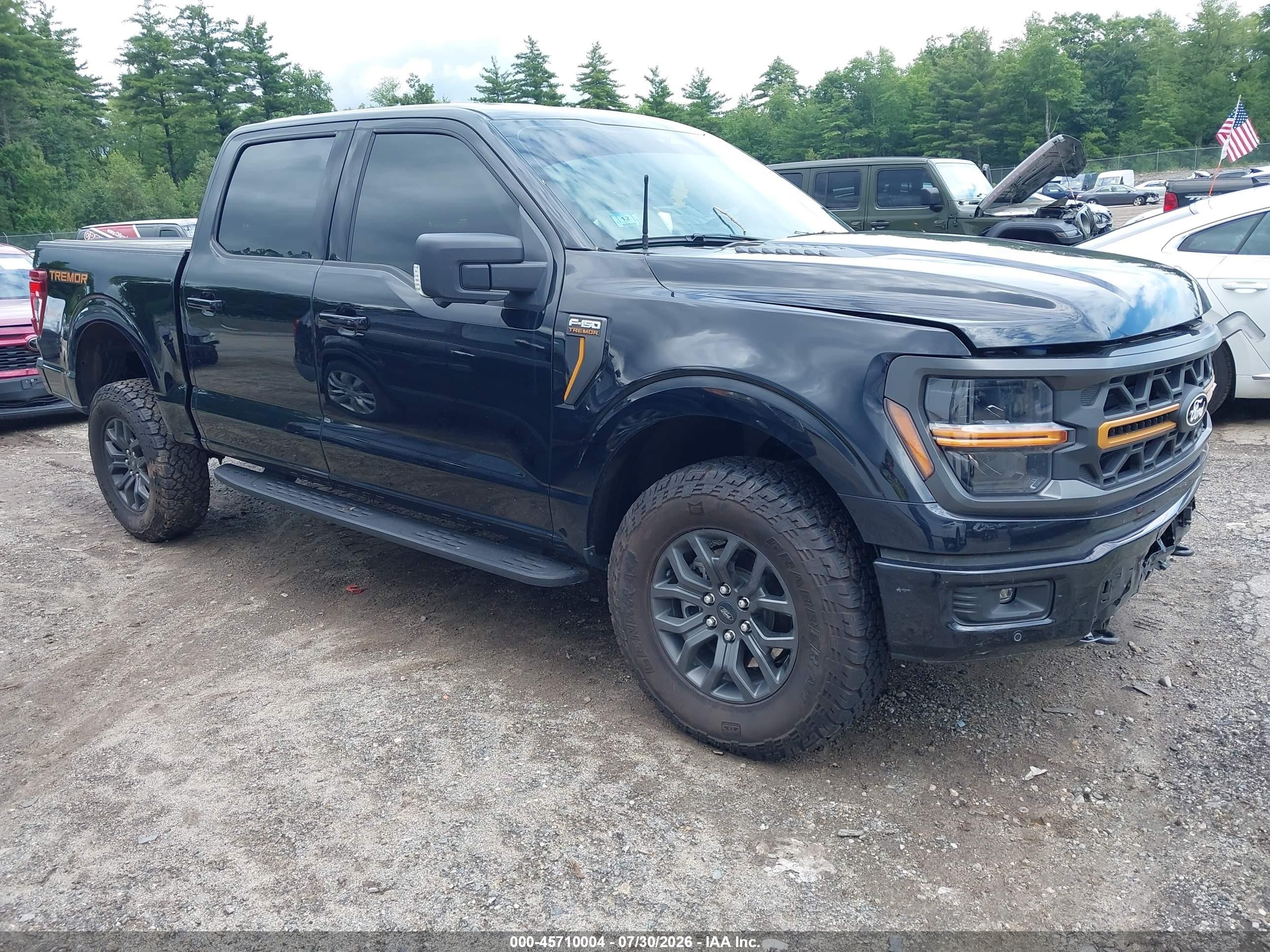 2025 Ford F-150 VIN 1FTFW4L53SFC31689 — IAAI salvage auction photo