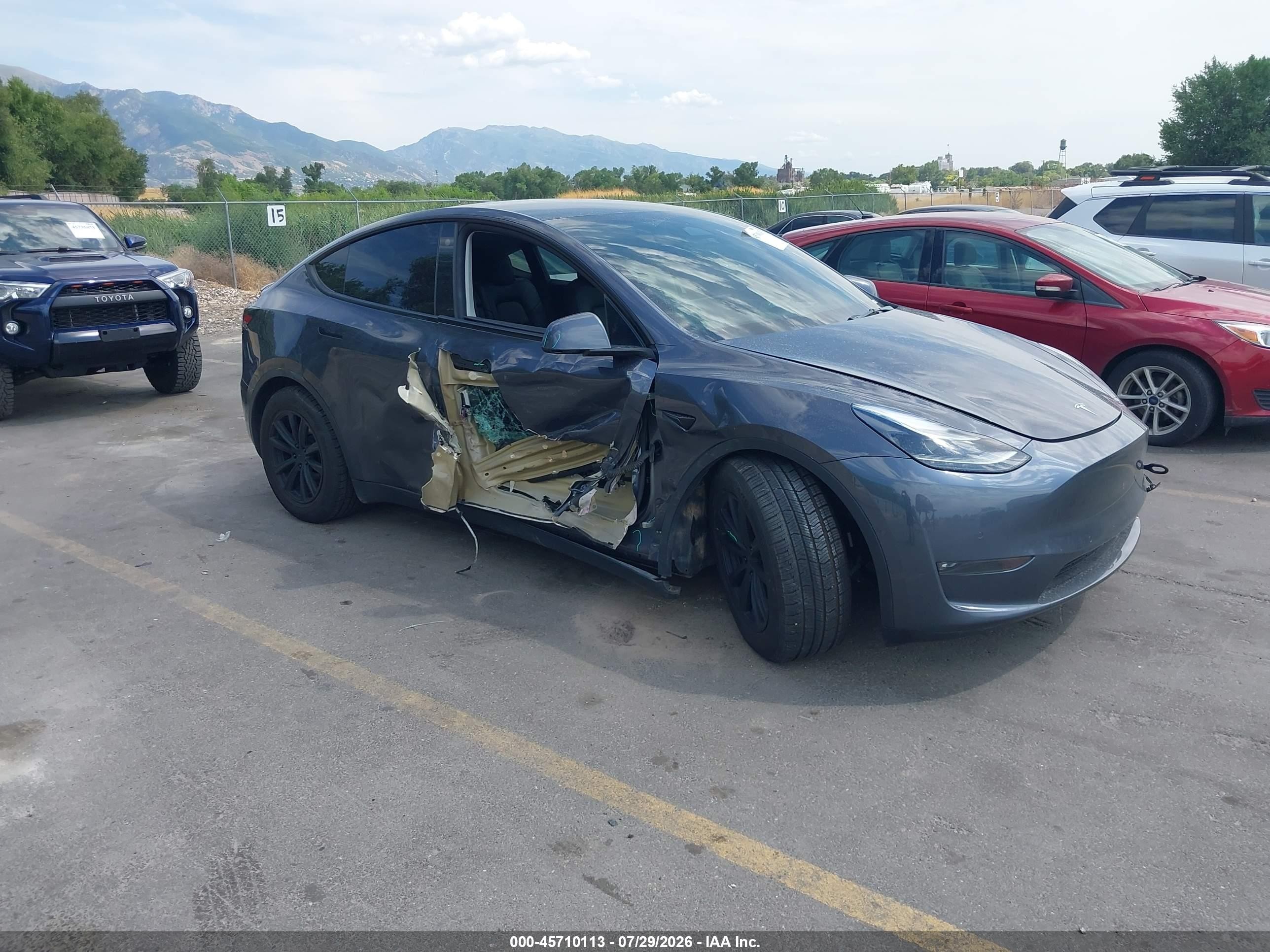 2022 Tesla Model Y VIN 7SAYGDEF2NF343696 — IAAI salvage auction photo