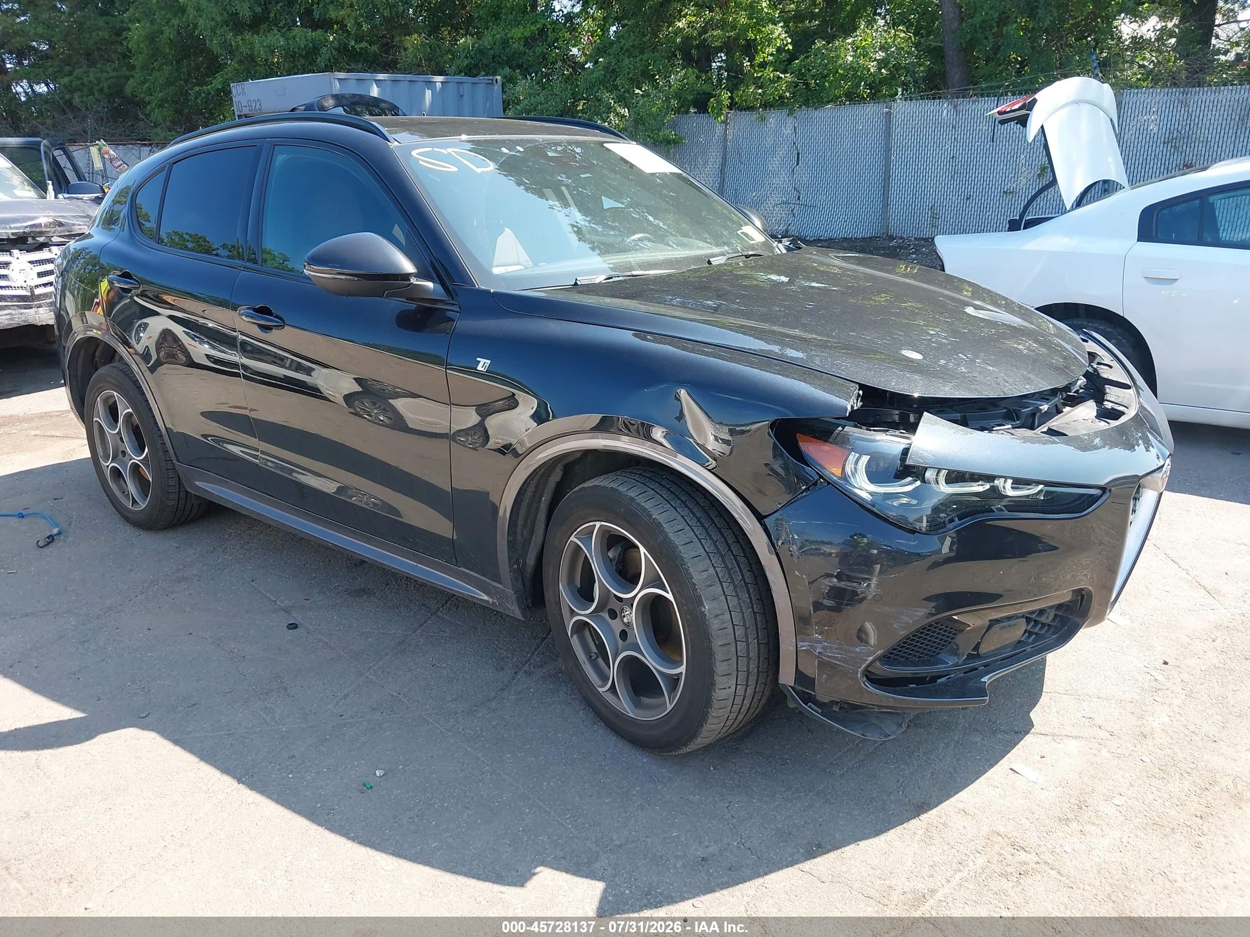 2024 Alfa Romeo Stelvio VIN ZASPAKBN4R7D75174 — IAAI salvage auction photo