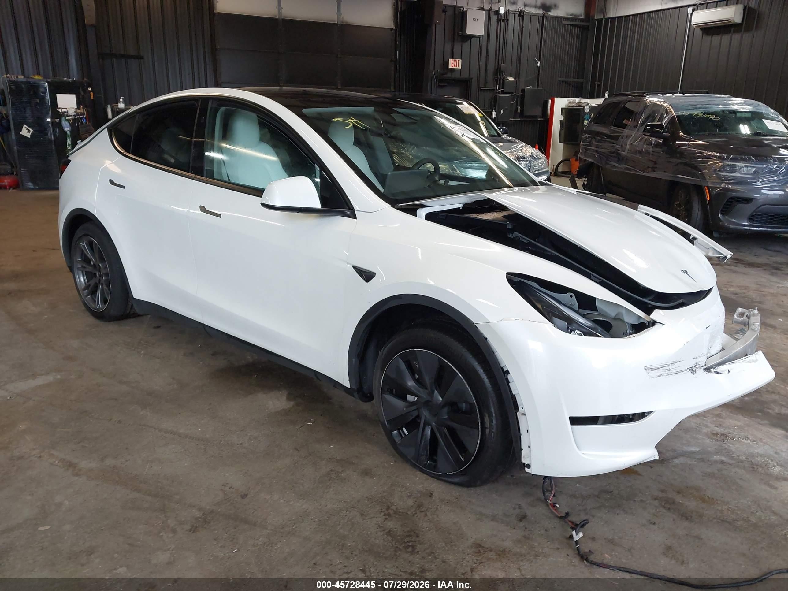 2025 Tesla Model Y VIN 7SAYGDEE9SF302677 — IAAI salvage auction photo
