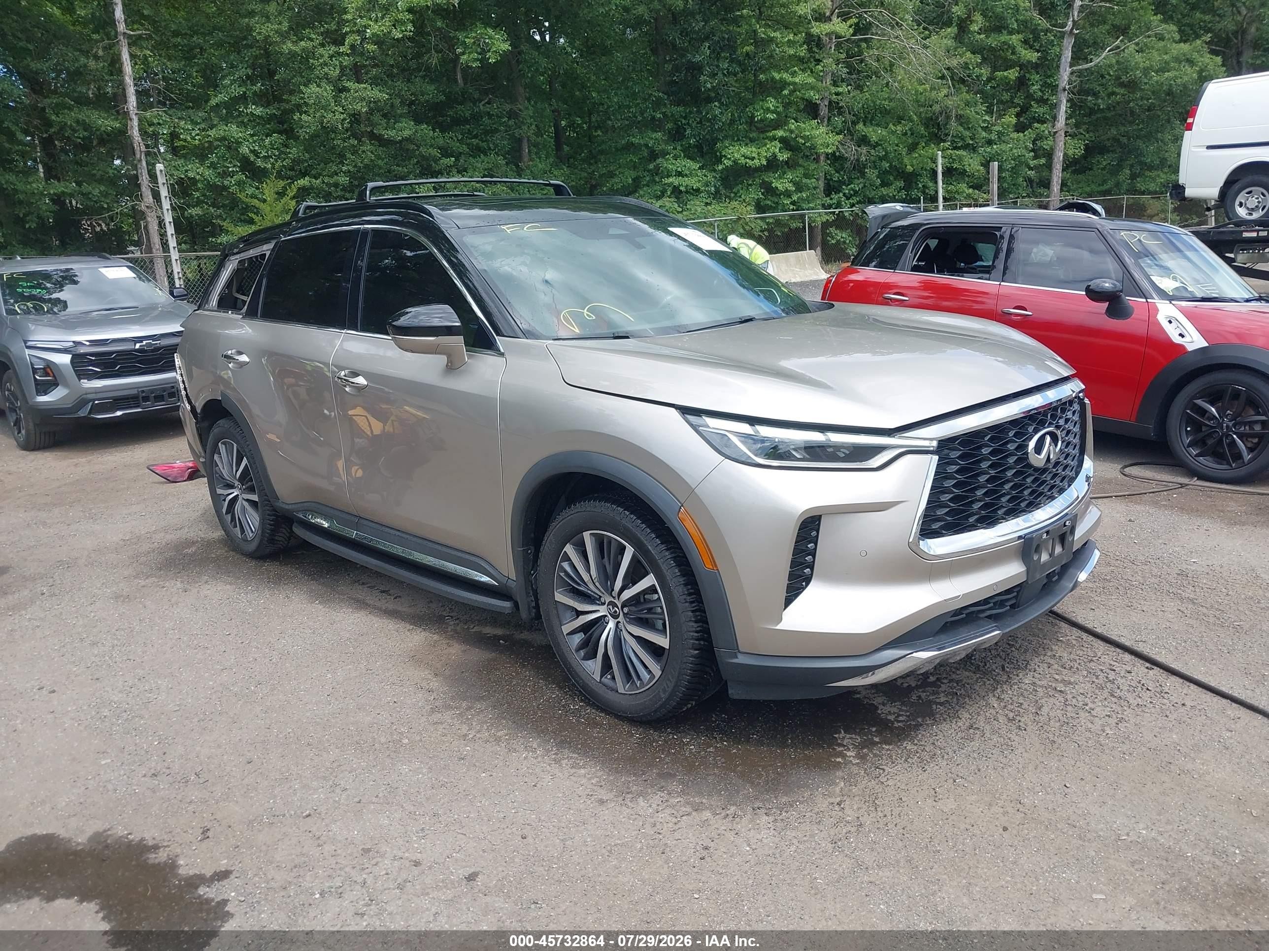 2022 Infiniti QX60 VIN 5N1DL1HU0NC339820 — IAAI salvage auction photo
