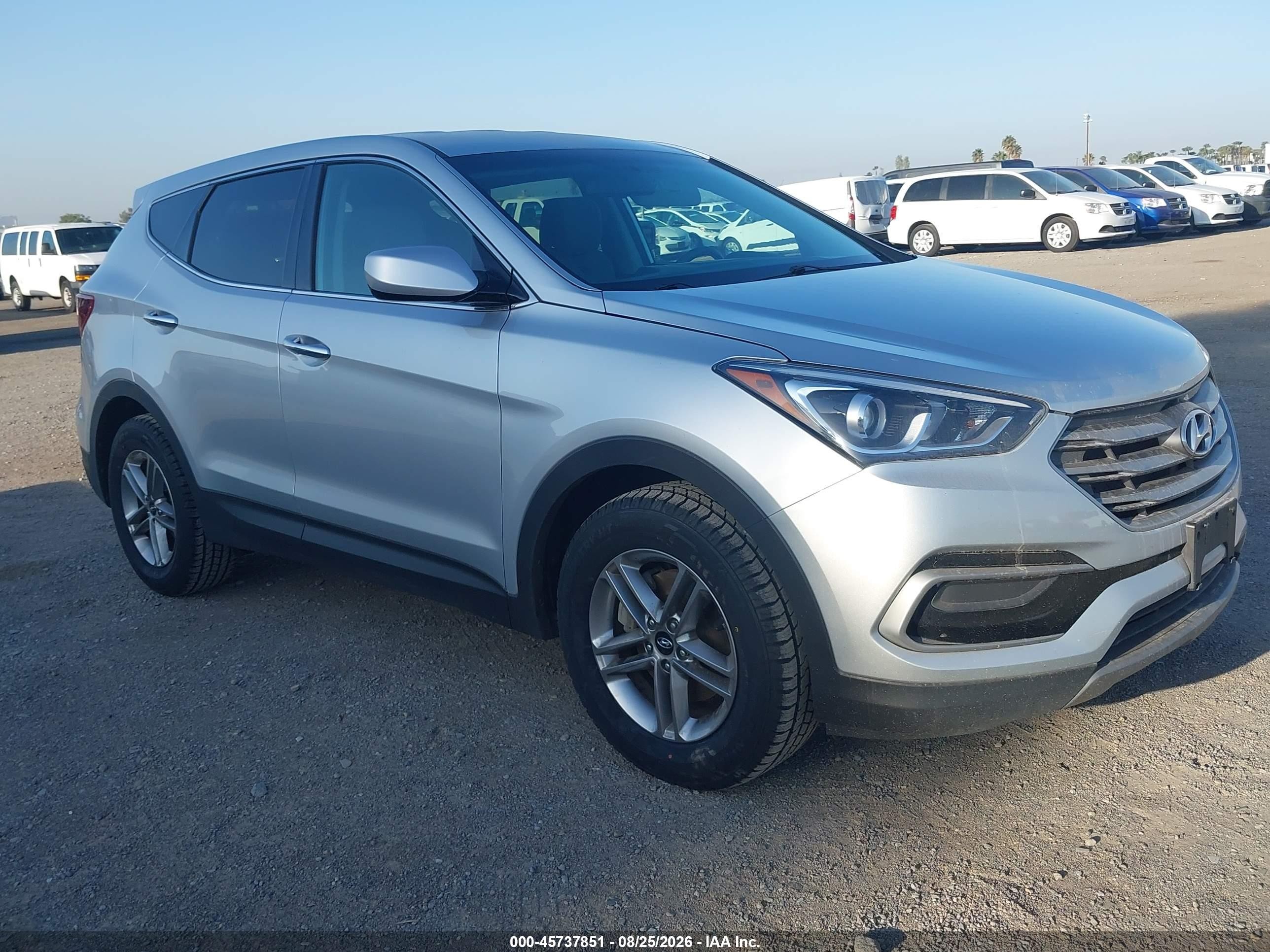 2017 Hyundai Santa Fe VIN 5XYZTDLB5HG495613 — IAAI salvage auction photo