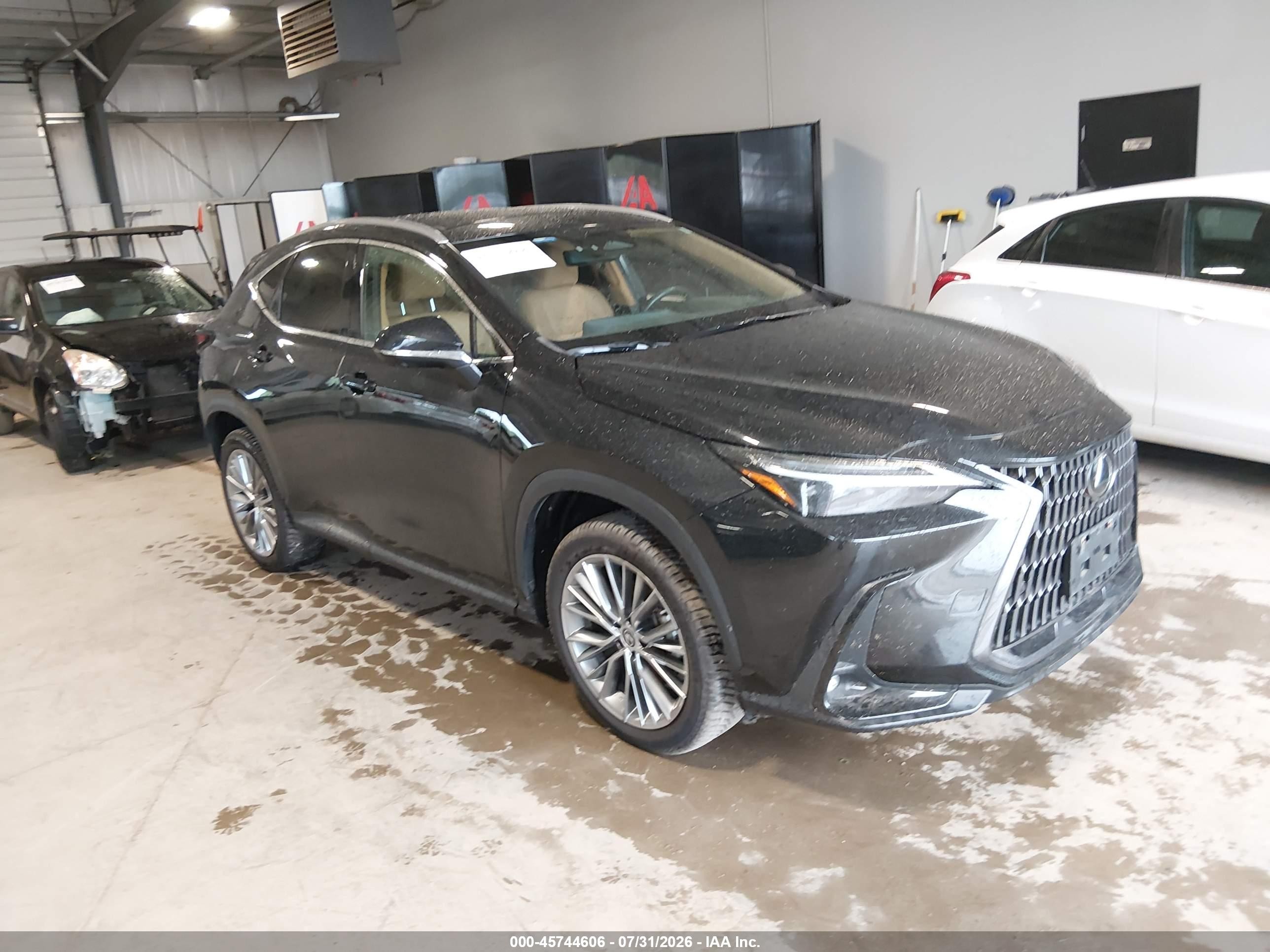 2022 Lexus NX 350h VIN 2T2HKCEZ6NC006531 — IAAI salvage auction photo