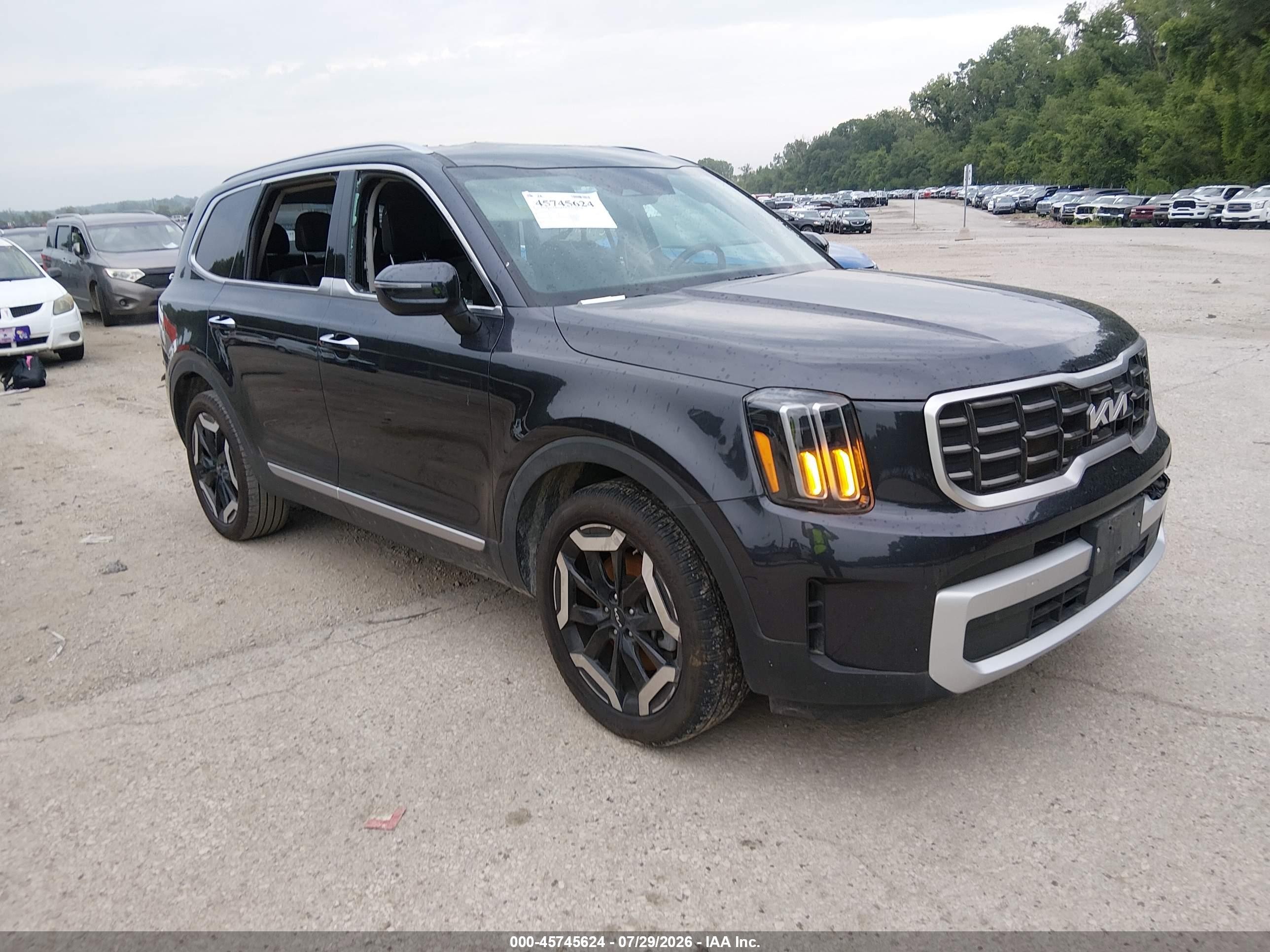 2025 Kia Telluride VIN 5XYP6DGC2SG592731 — IAAI salvage auction photo
