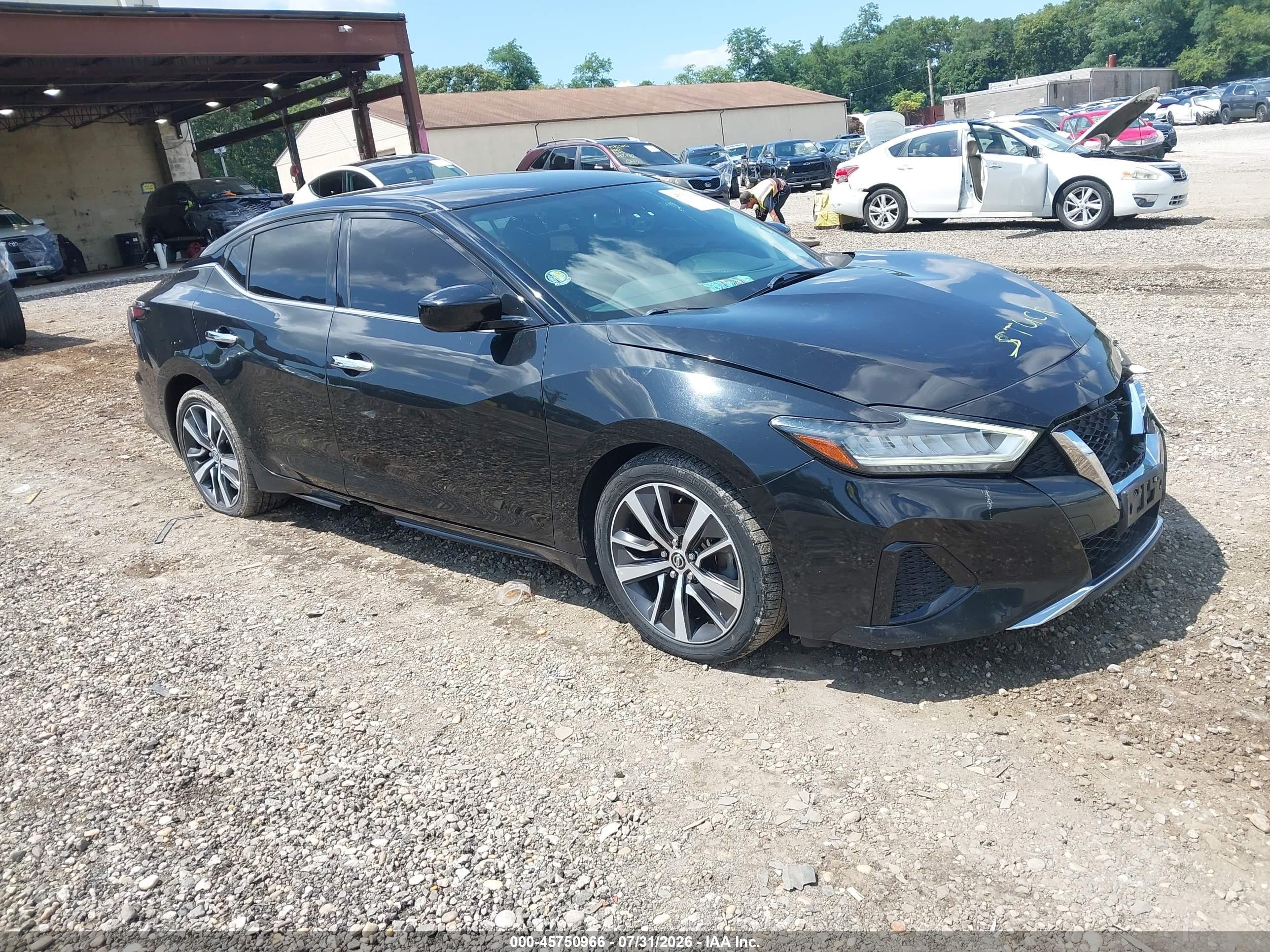 2019 Nissan Maxima VIN 1N4AA6AV9KC373785 IAAI salvage auction — Front End, Mv-907A (New York), sold $1,800 on 2026-09-14 (photo 1)