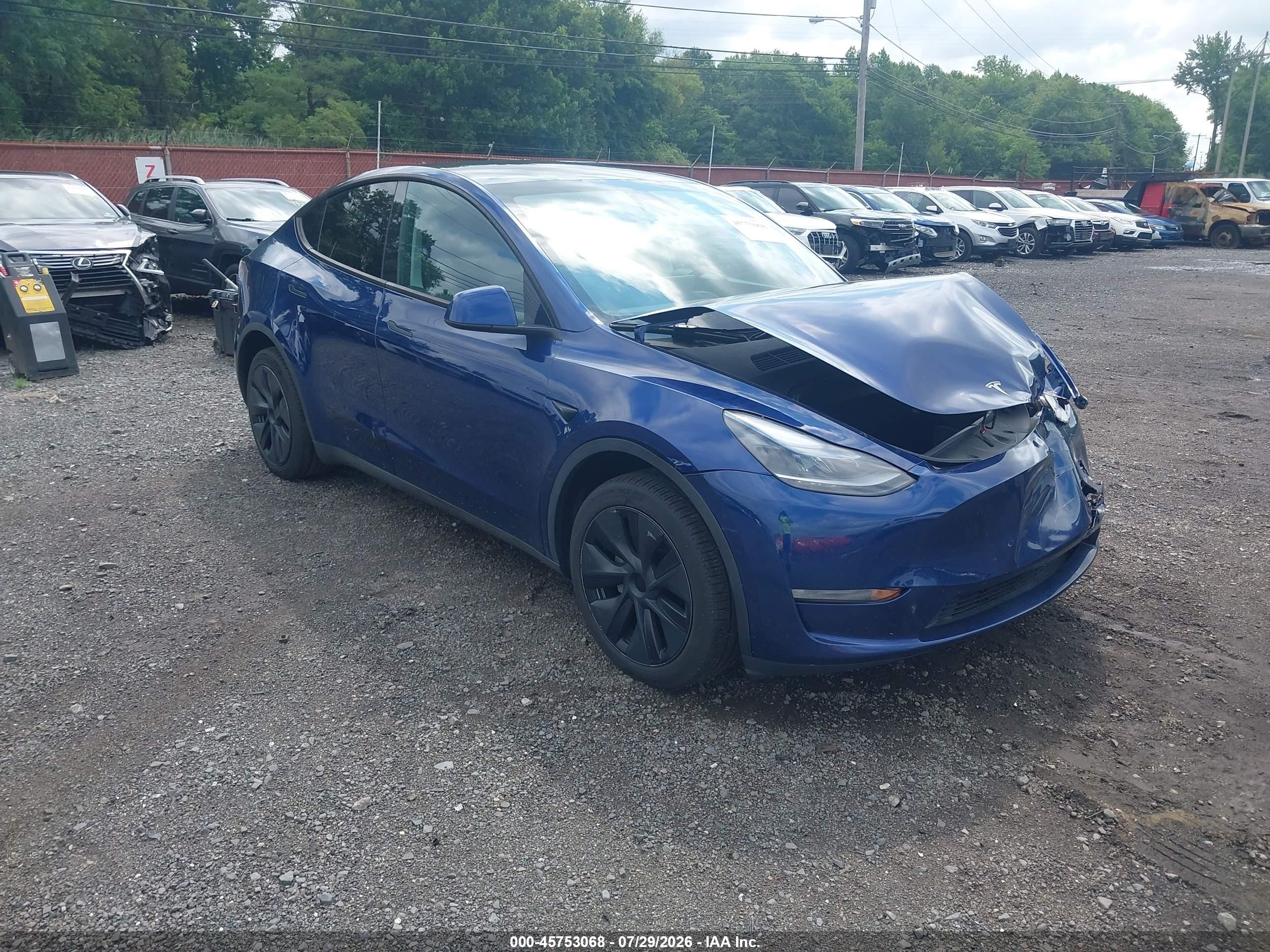 2024 Tesla Model Y VIN 7SAYGDEE0RA305457 — IAAI salvage auction photo