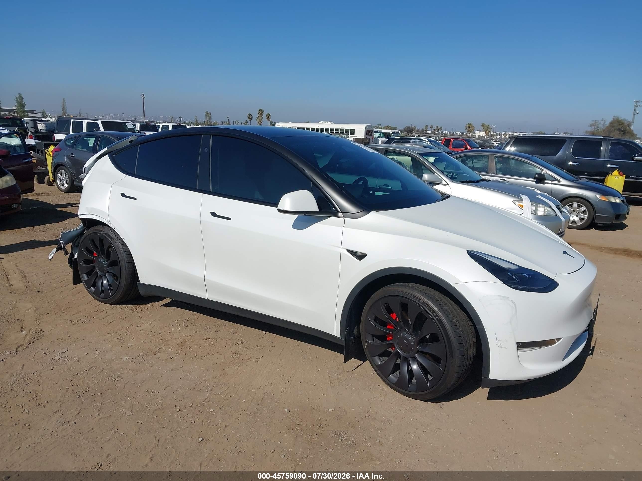 2023 Tesla Model Y VIN 7SAYGDEF7PF804023 — IAAI salvage auction photo