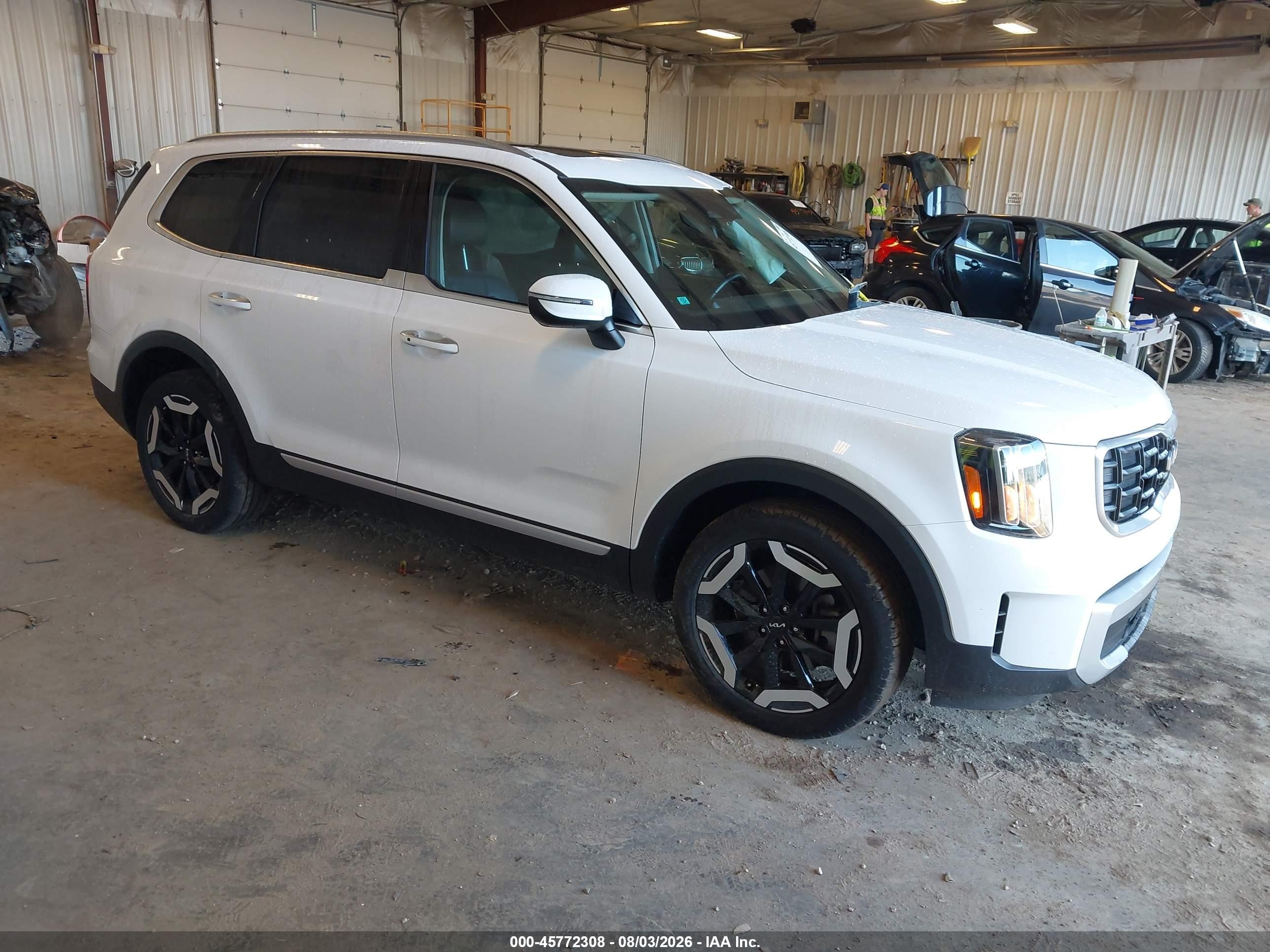 2024 Kia Telluride VIN 5XYP6DGC9RG428063 — IAAI salvage auction photo