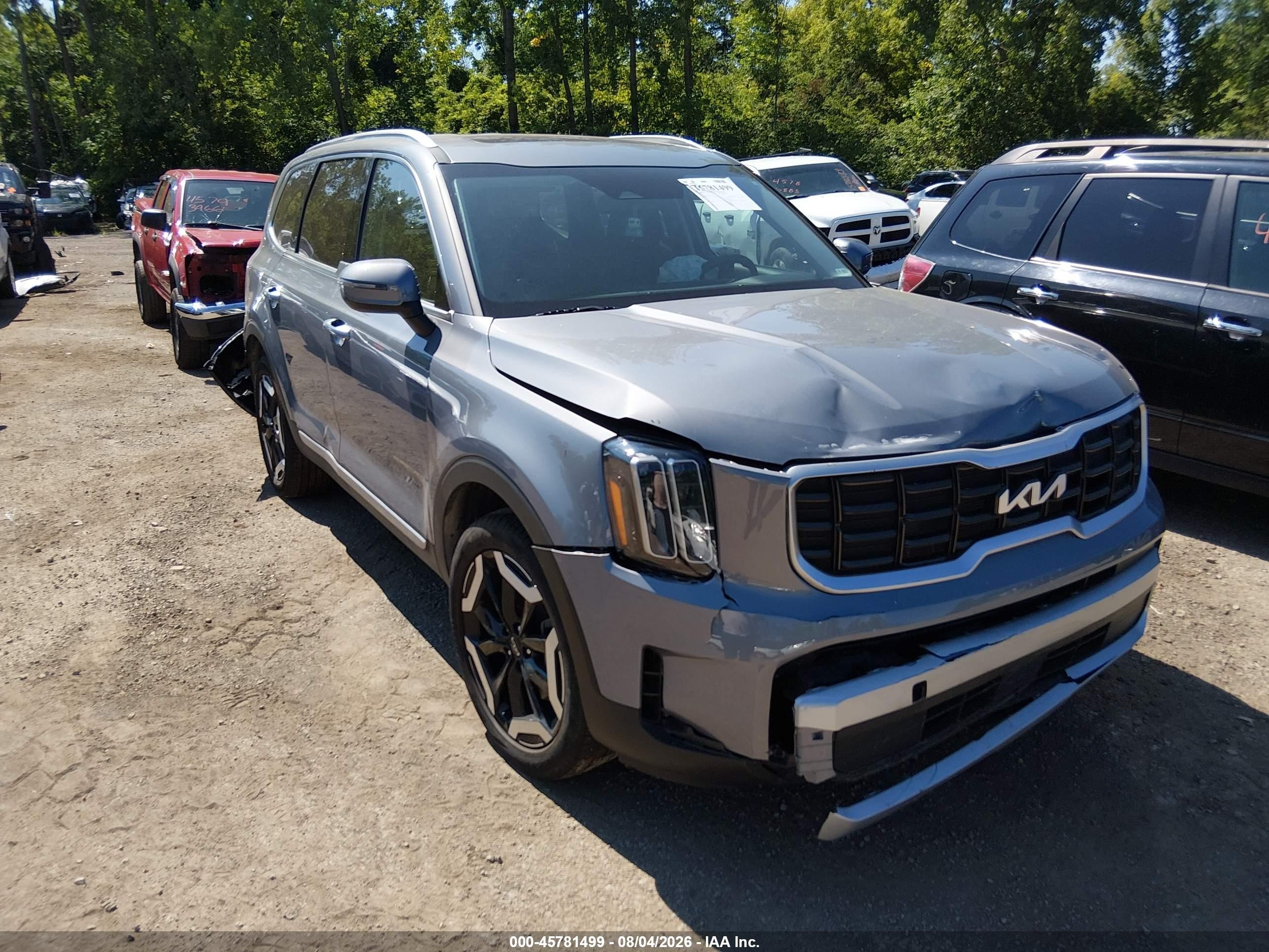 2024 Kia Telluride VIN 5XYP6DGC3RG490526 — IAAI salvage auction photo