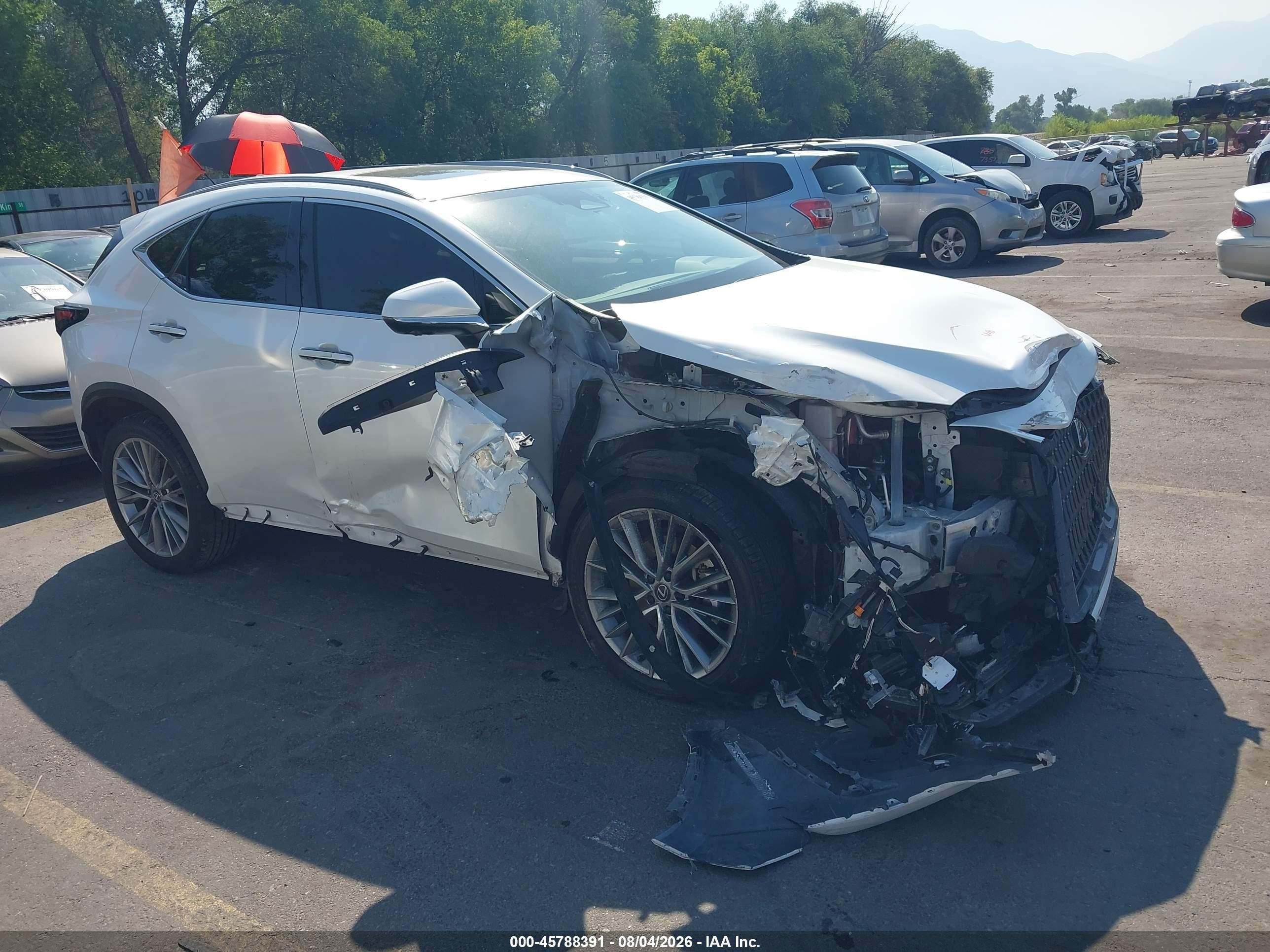 2025 Lexus NX 350 VIN JTJGGCEZ6S5010358 — IAAI salvage auction photo