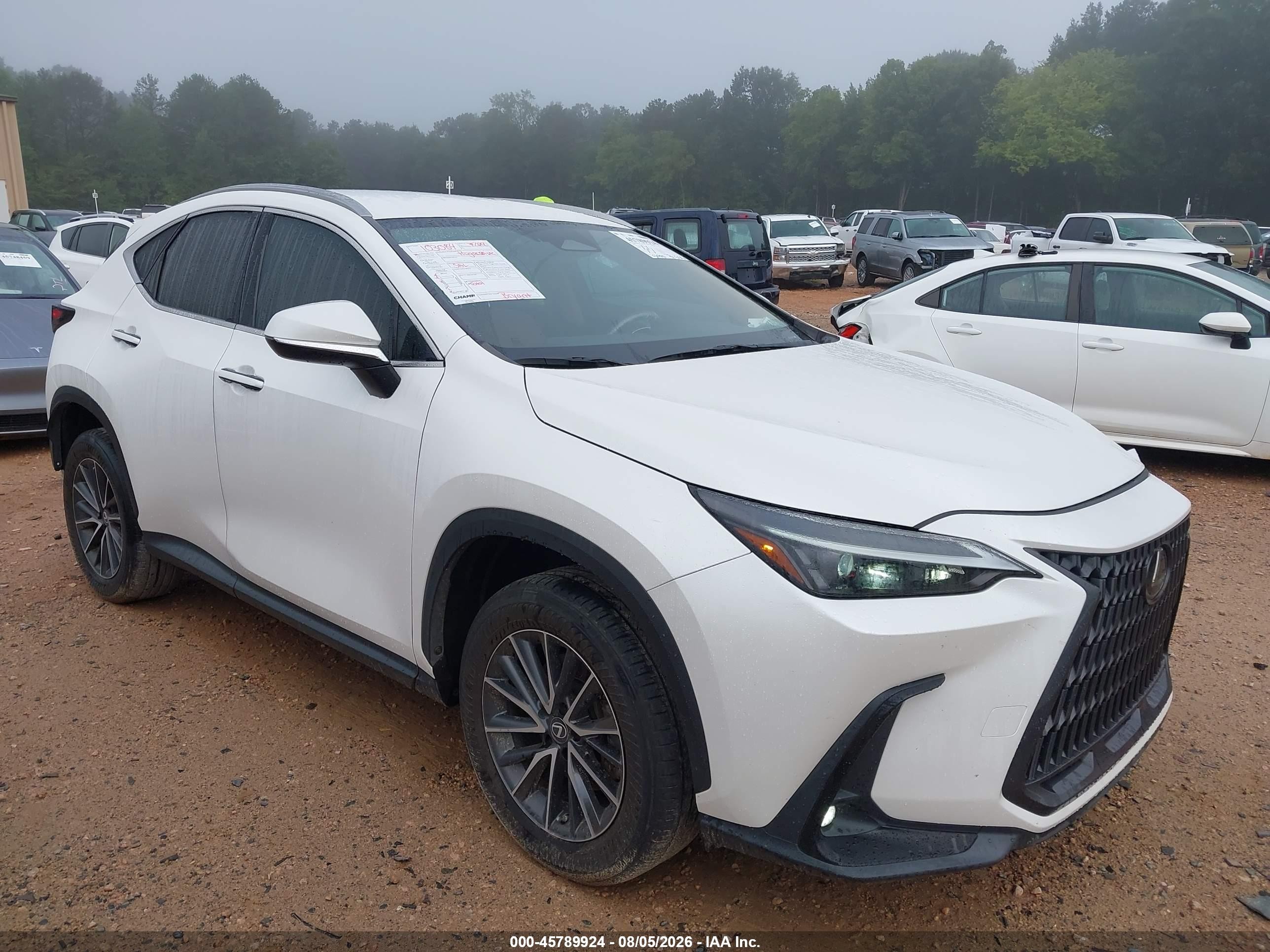 2022 Lexus NX 250 VIN 2T2ADCAZ0NC002928 — IAAI salvage auction photo