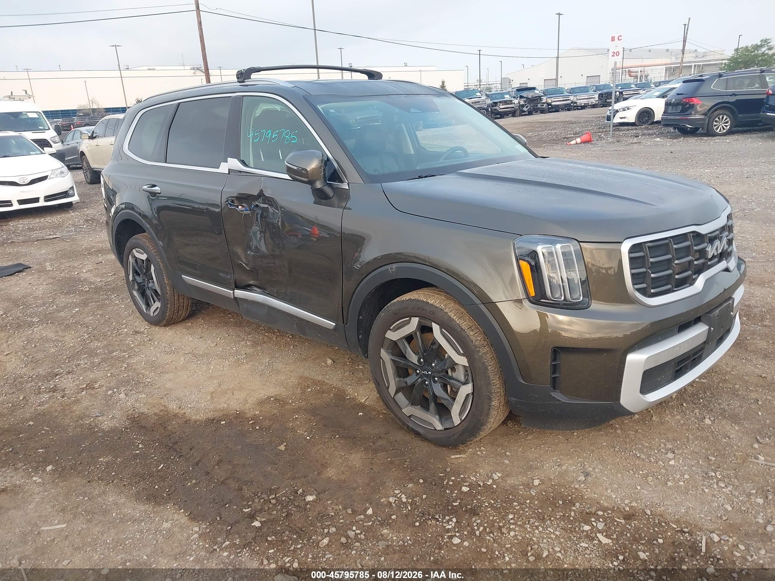2024 Kia Telluride VIN 5XYP6DGCXRG566114 — IAAI salvage auction photo