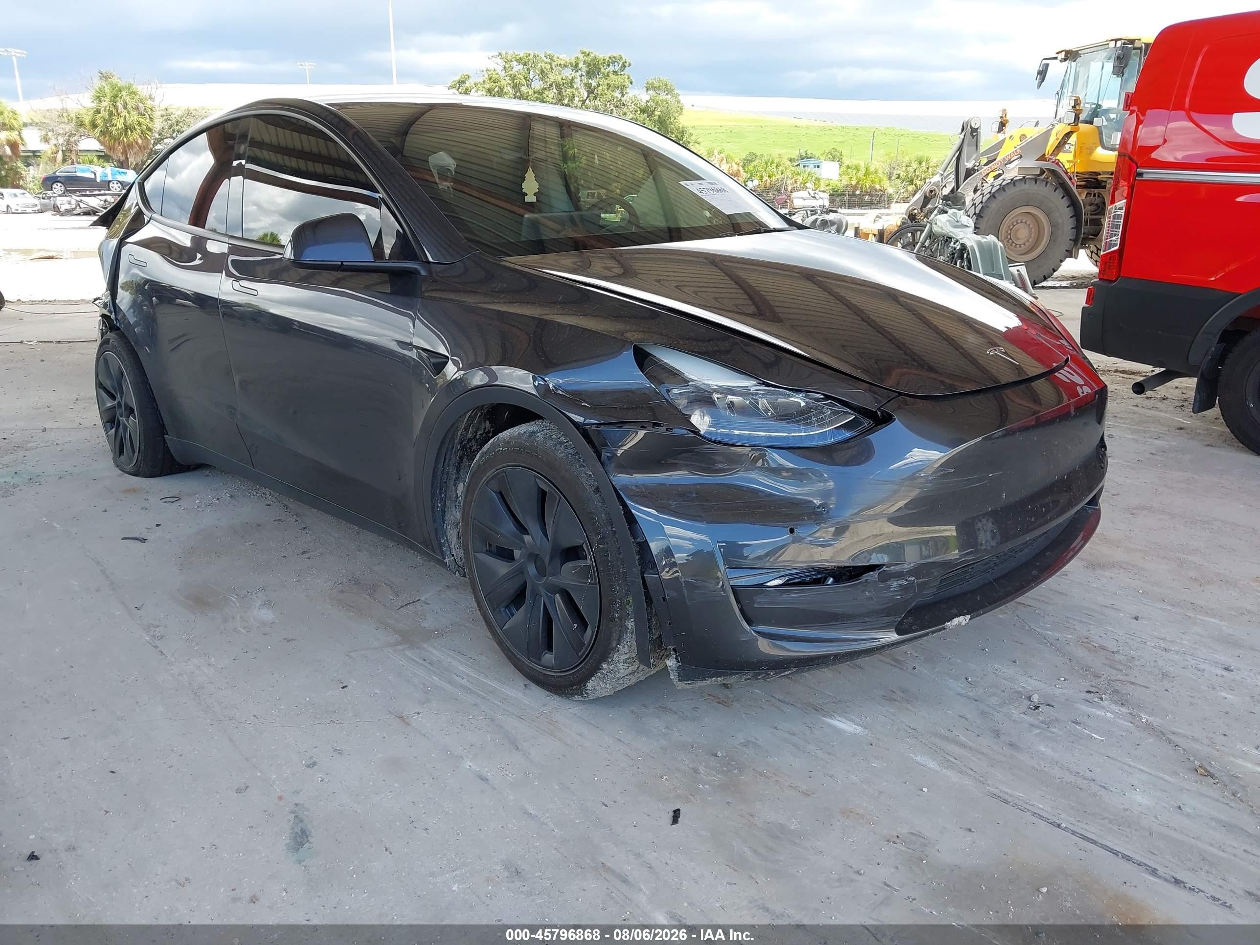 2025 Tesla Model Y VIN 7SAYGDED2SF229806 — IAAI salvage auction photo