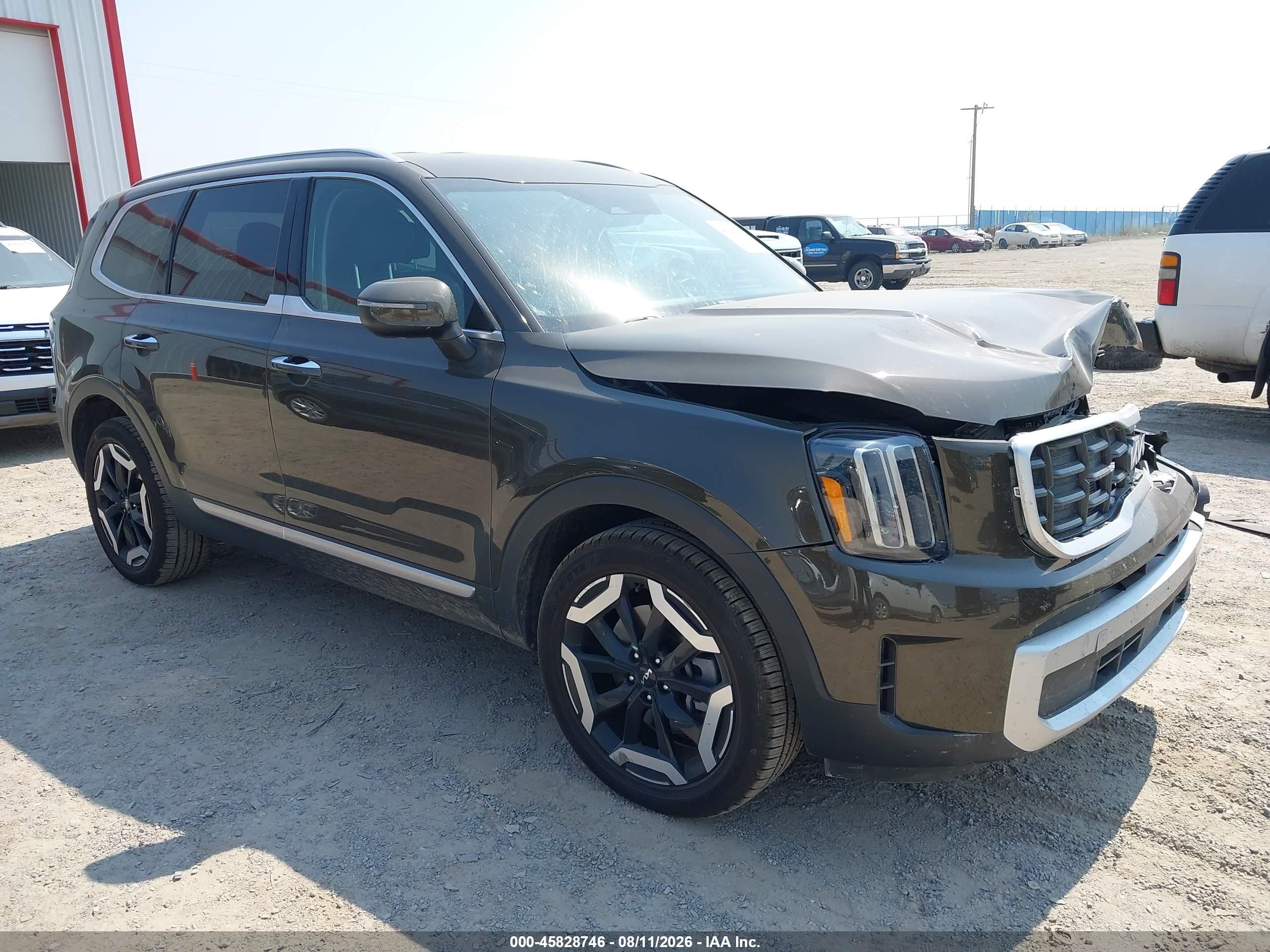 2024 Kia Telluride VIN 5XYP6DGC3RG523590 — IAAI salvage auction photo