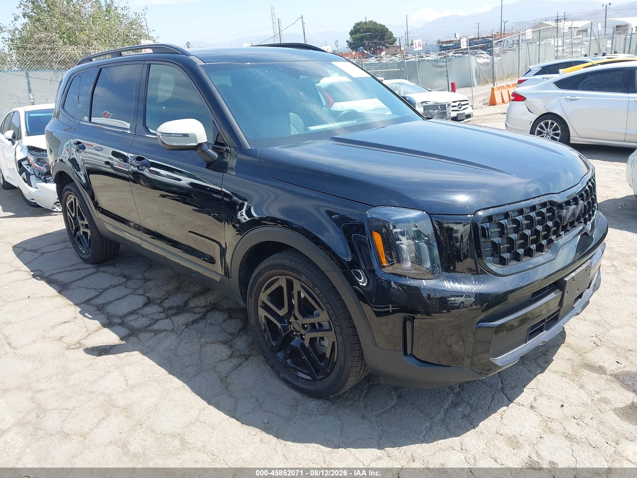 2025 Kia Telluride VIN 5XYP3DGC2SG612100 — IAAI salvage auction photo