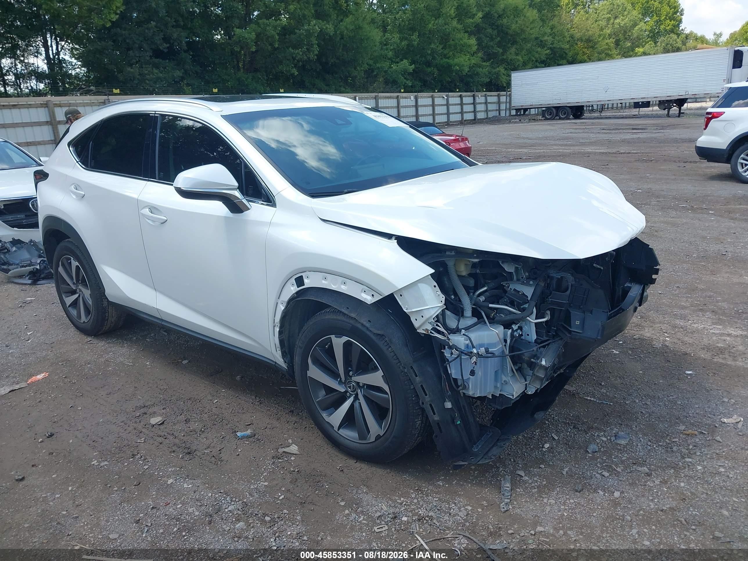 2019 Lexus NX 300 VIN JTJBARBZ6K2192986 — IAAI salvage auction photo